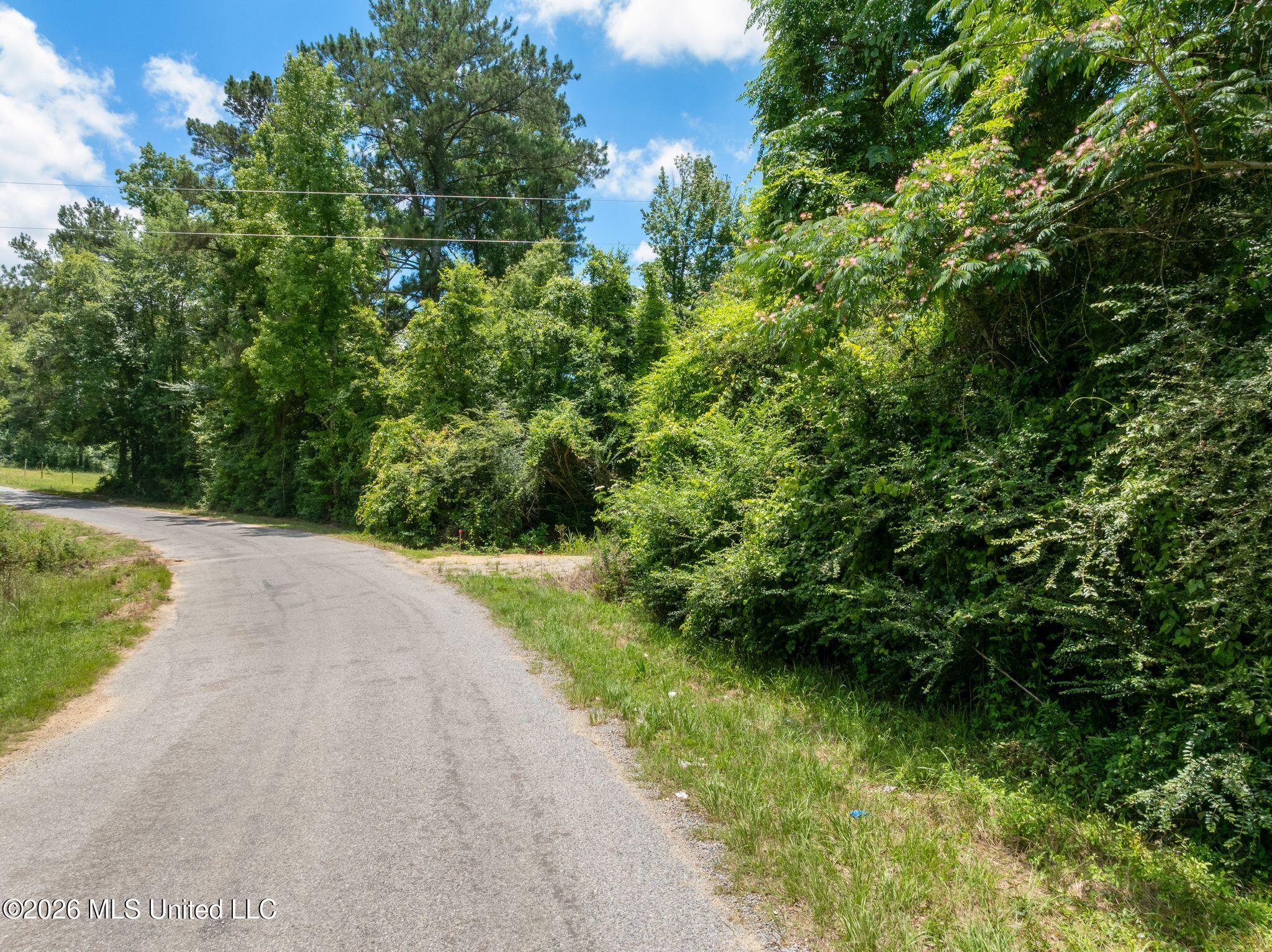 31 Acres Ridgeland Road Property Photo 2