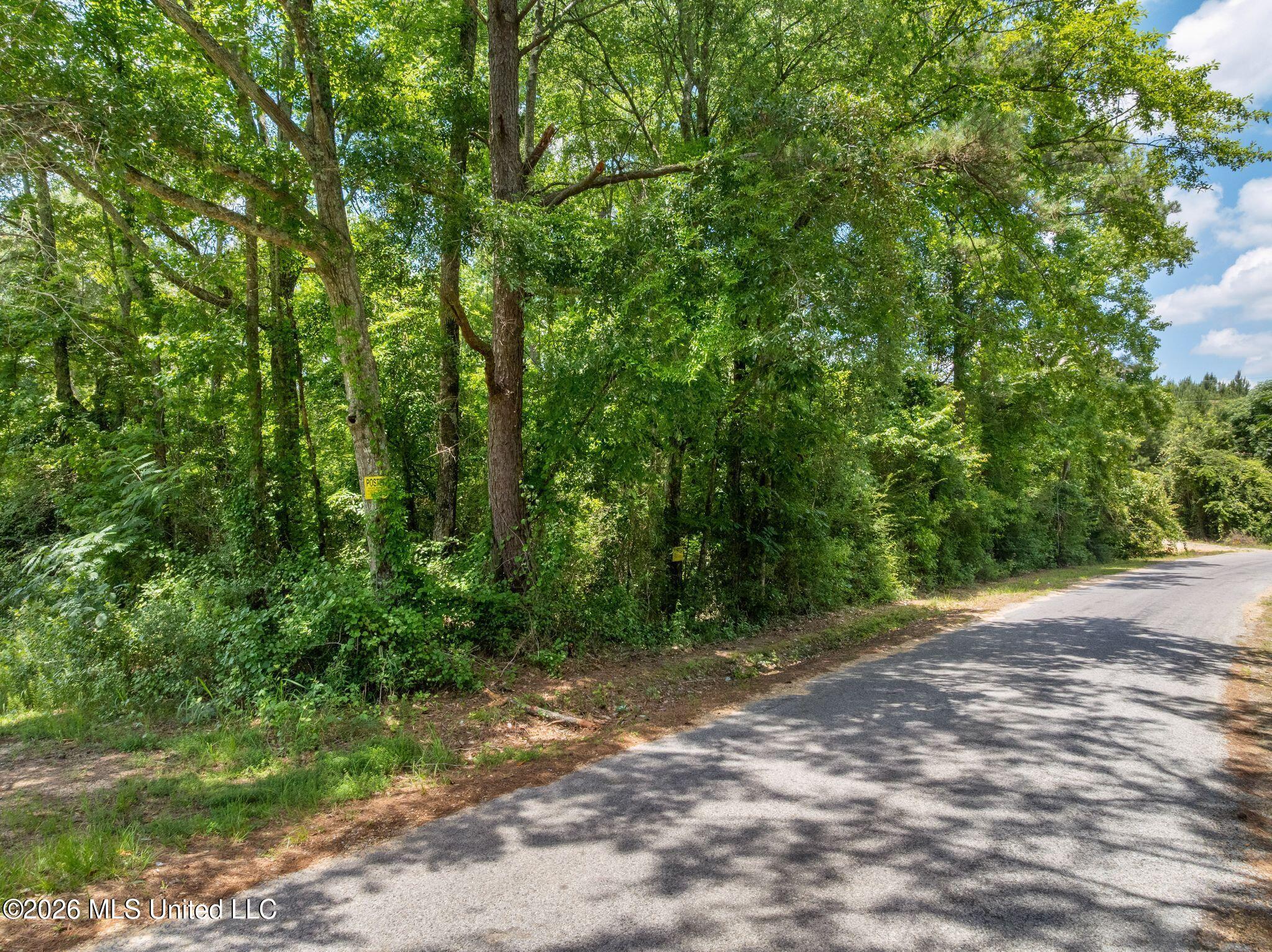 31 Acres Ridgeland Road Property Photo 3