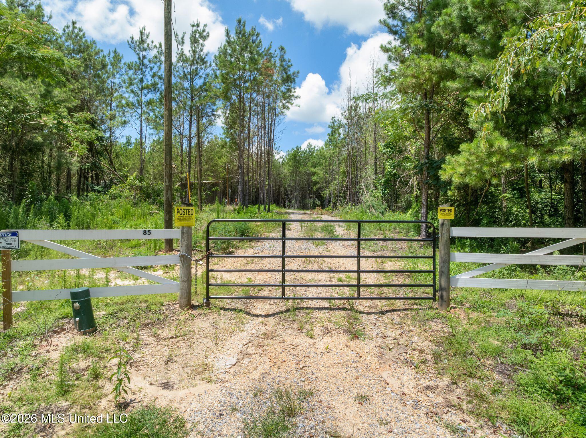 31 Acres Ridgeland Road Property Photo 4