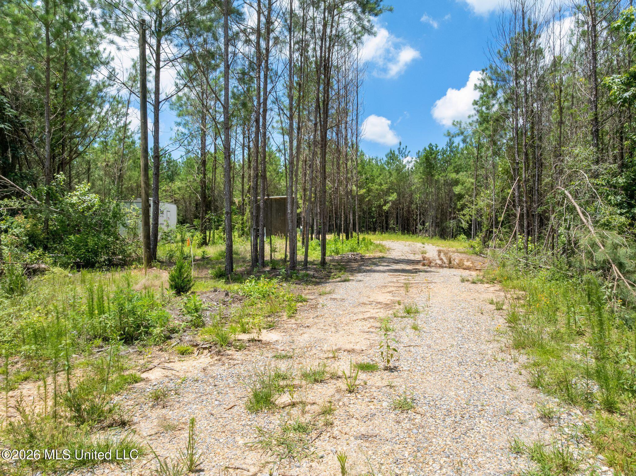 31 Acres Ridgeland Road Property Photo 5