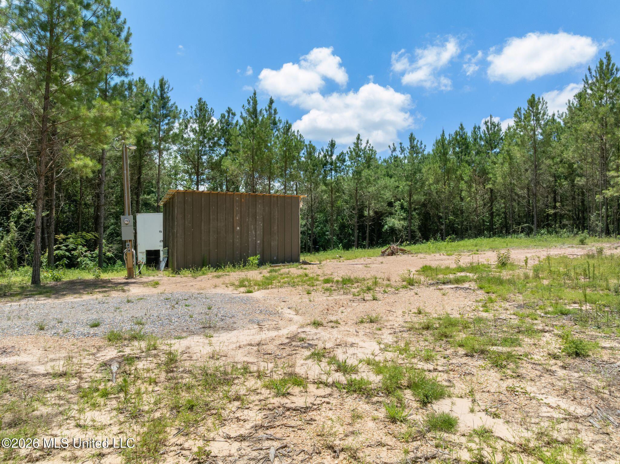 31 Acres Ridgeland Road Property Photo 6