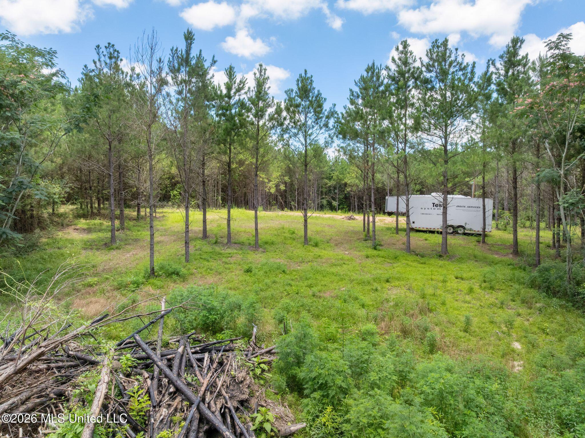 31 Acres Ridgeland Road Property Photo 9