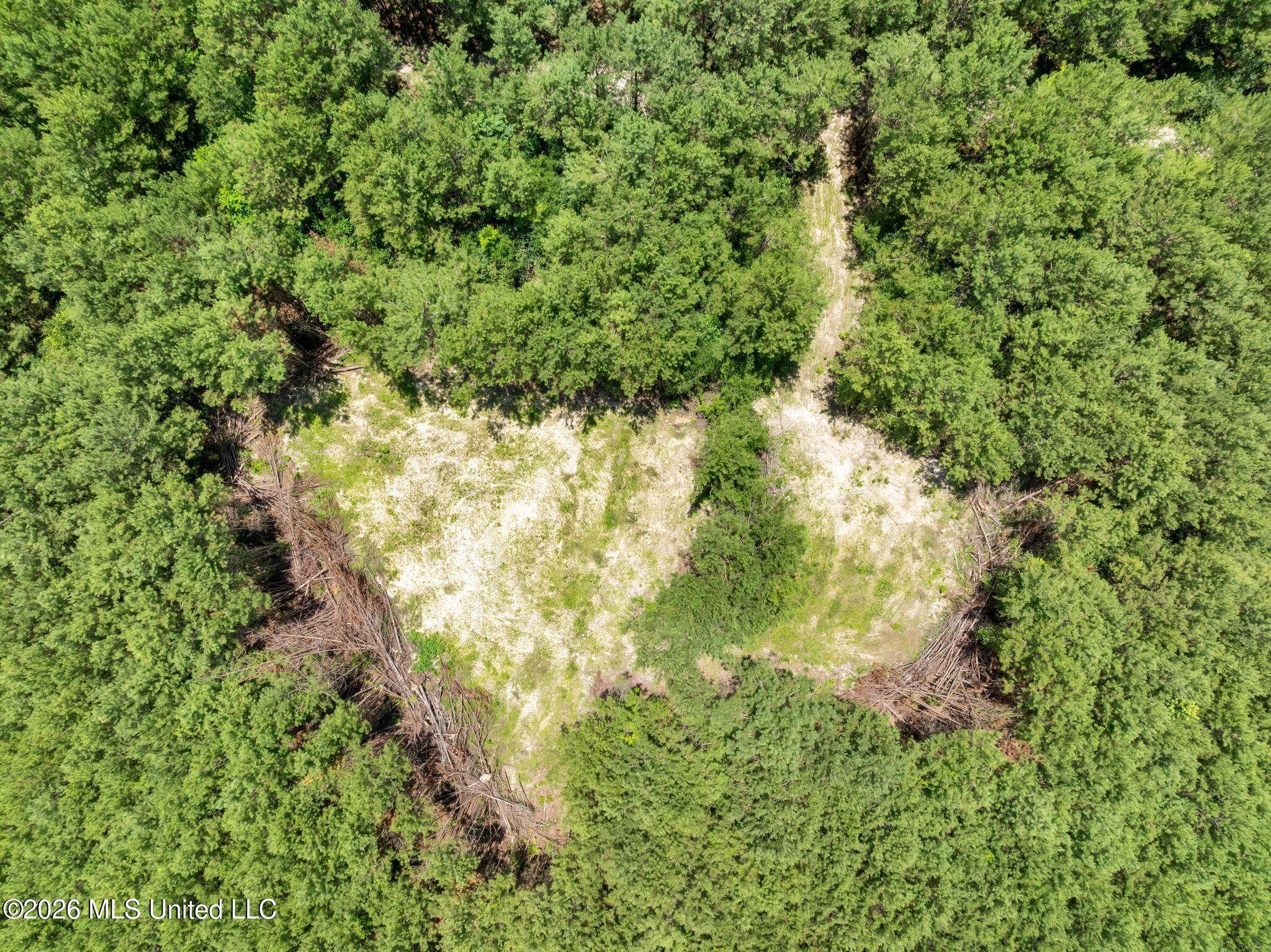 31 Acres Ridgeland Road Property Photo 11
