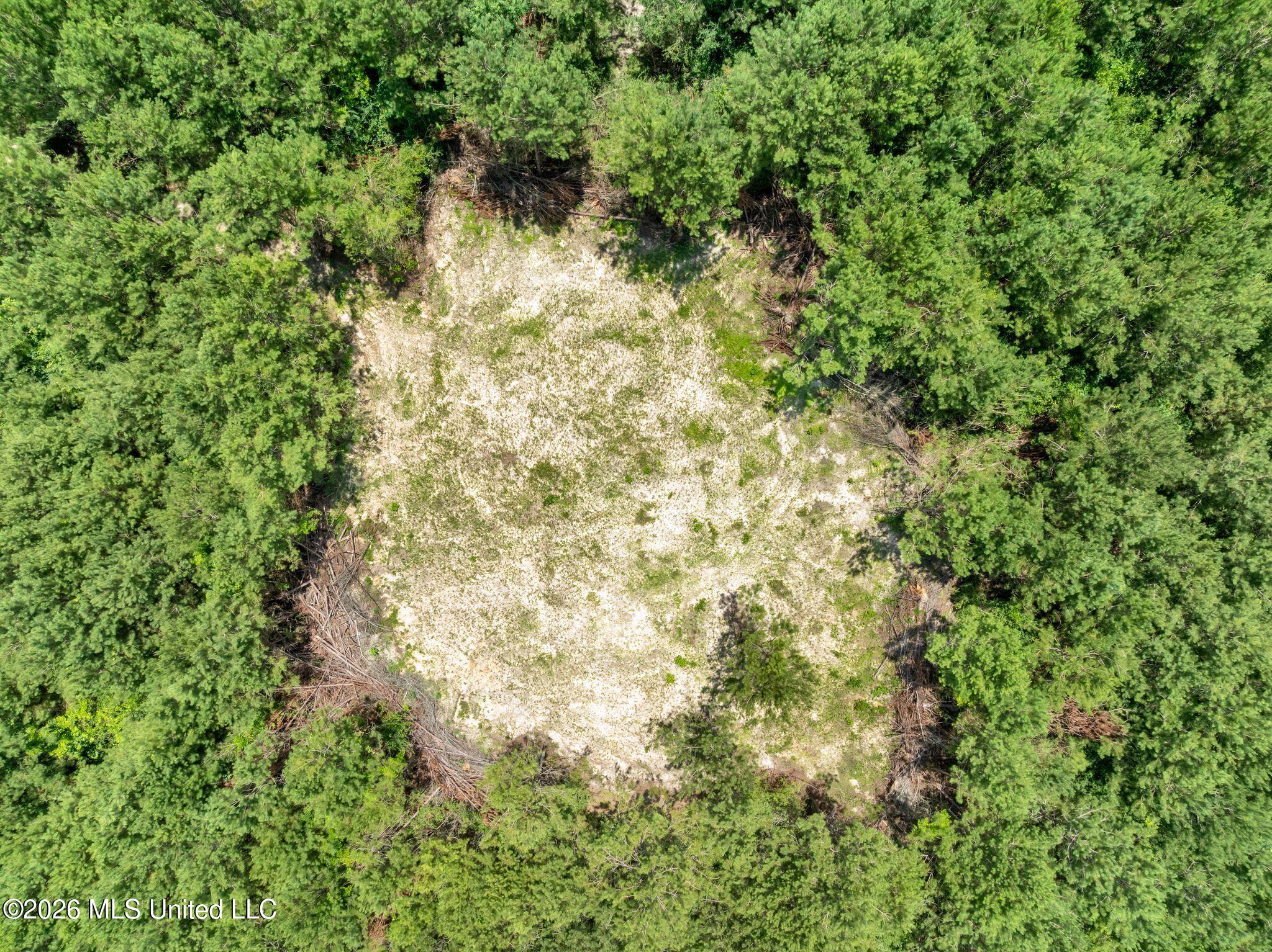31 Acres Ridgeland Road Property Photo 12