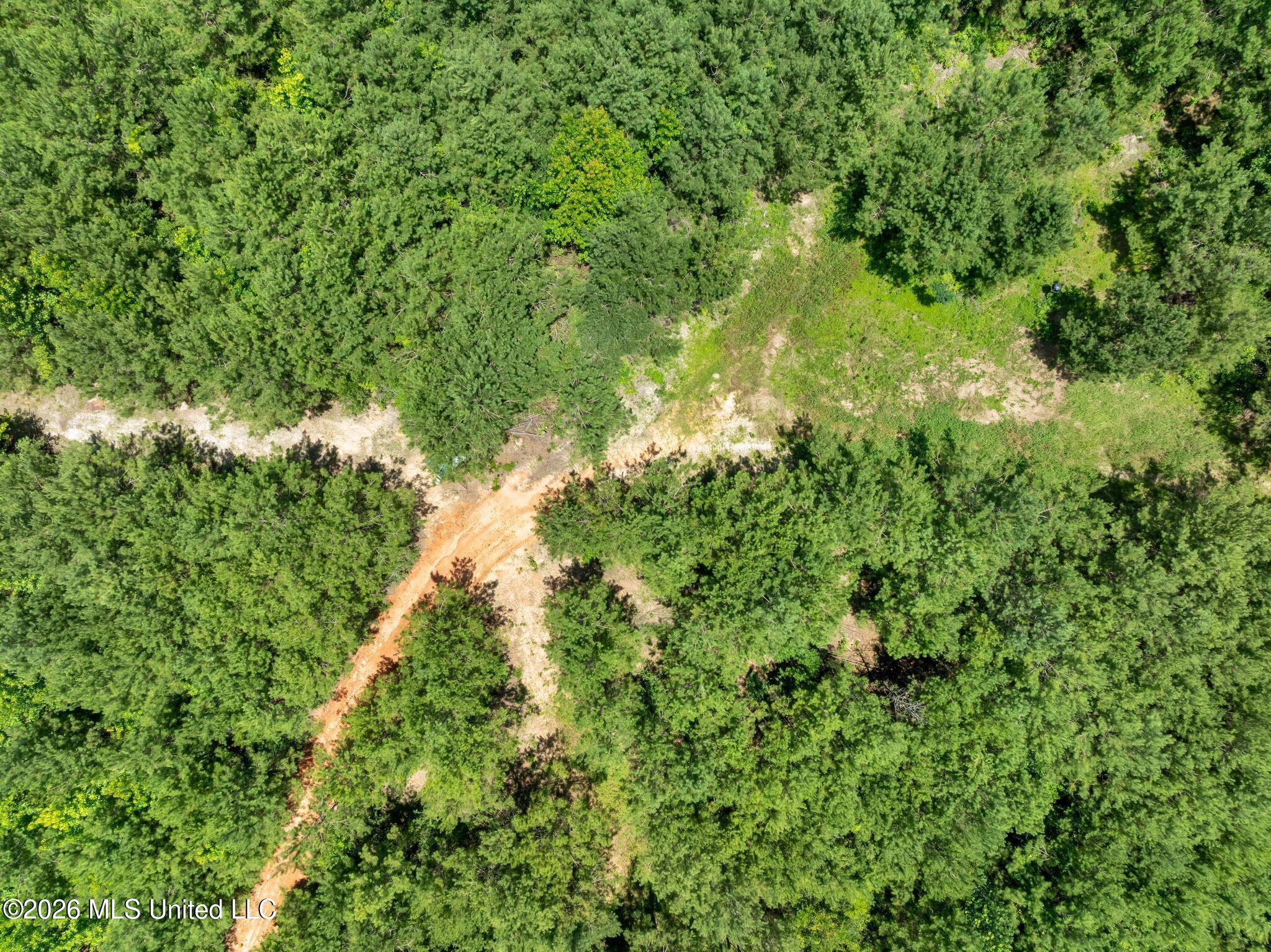 31 Acres Ridgeland Road Property Photo 13