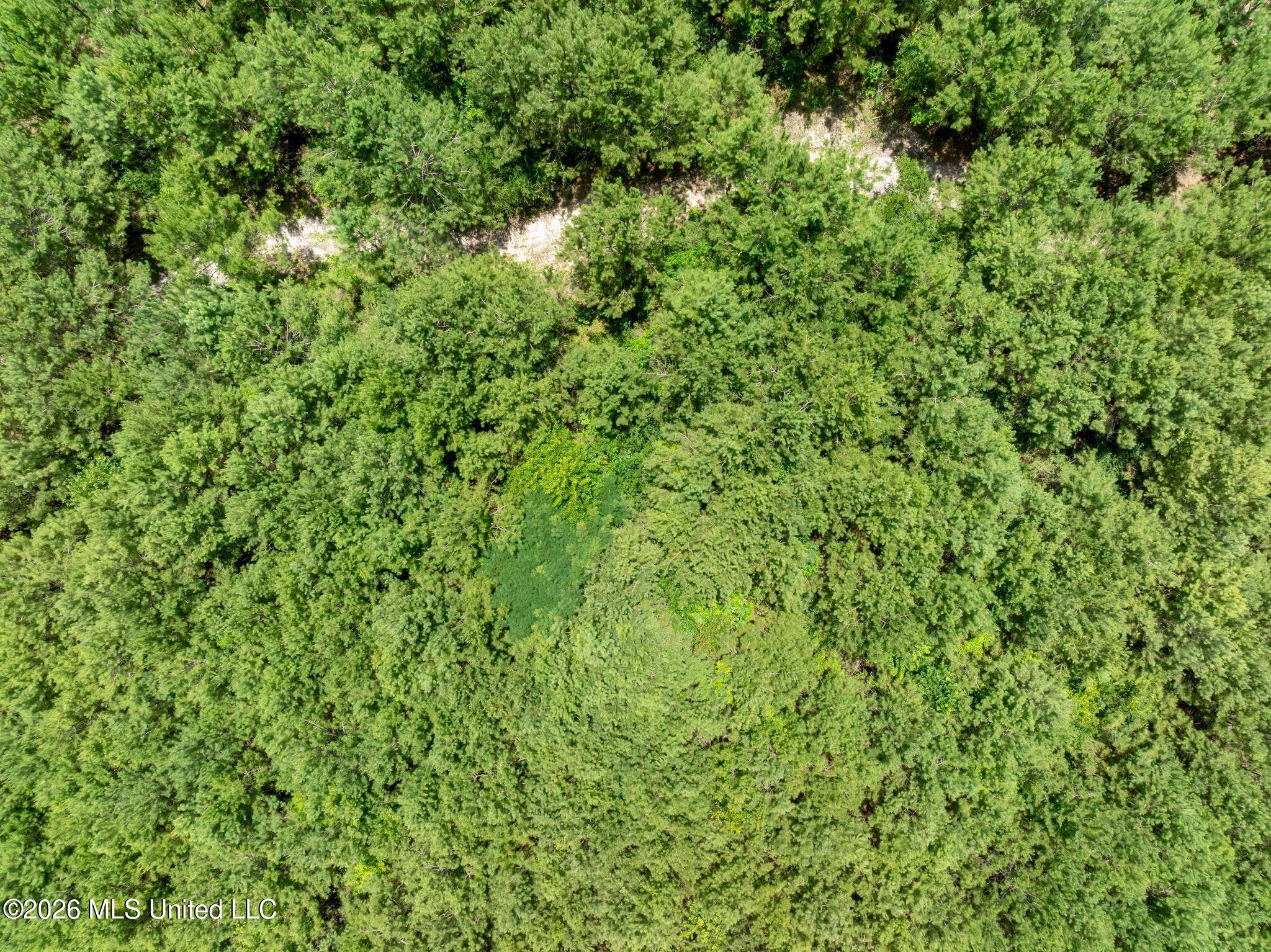 31 Acres Ridgeland Road Property Photo 16