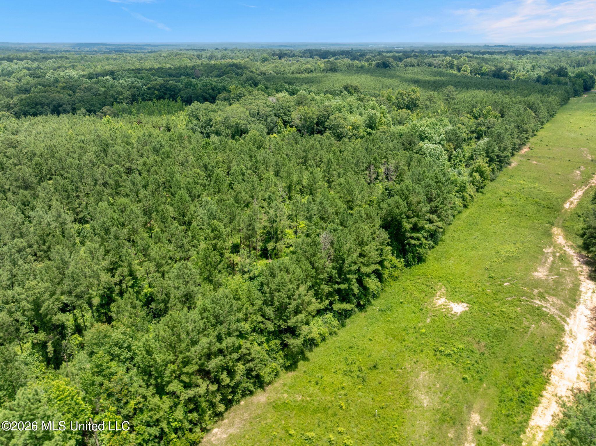 31 Acres Ridgeland Road Property Photo 18