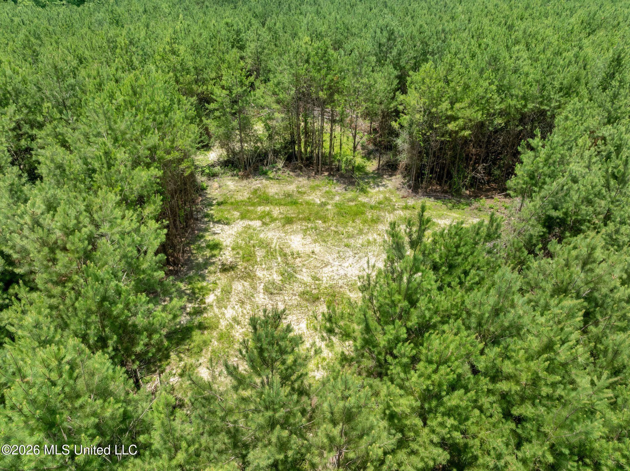 31 Acres Ridgeland Road Property Photo 19