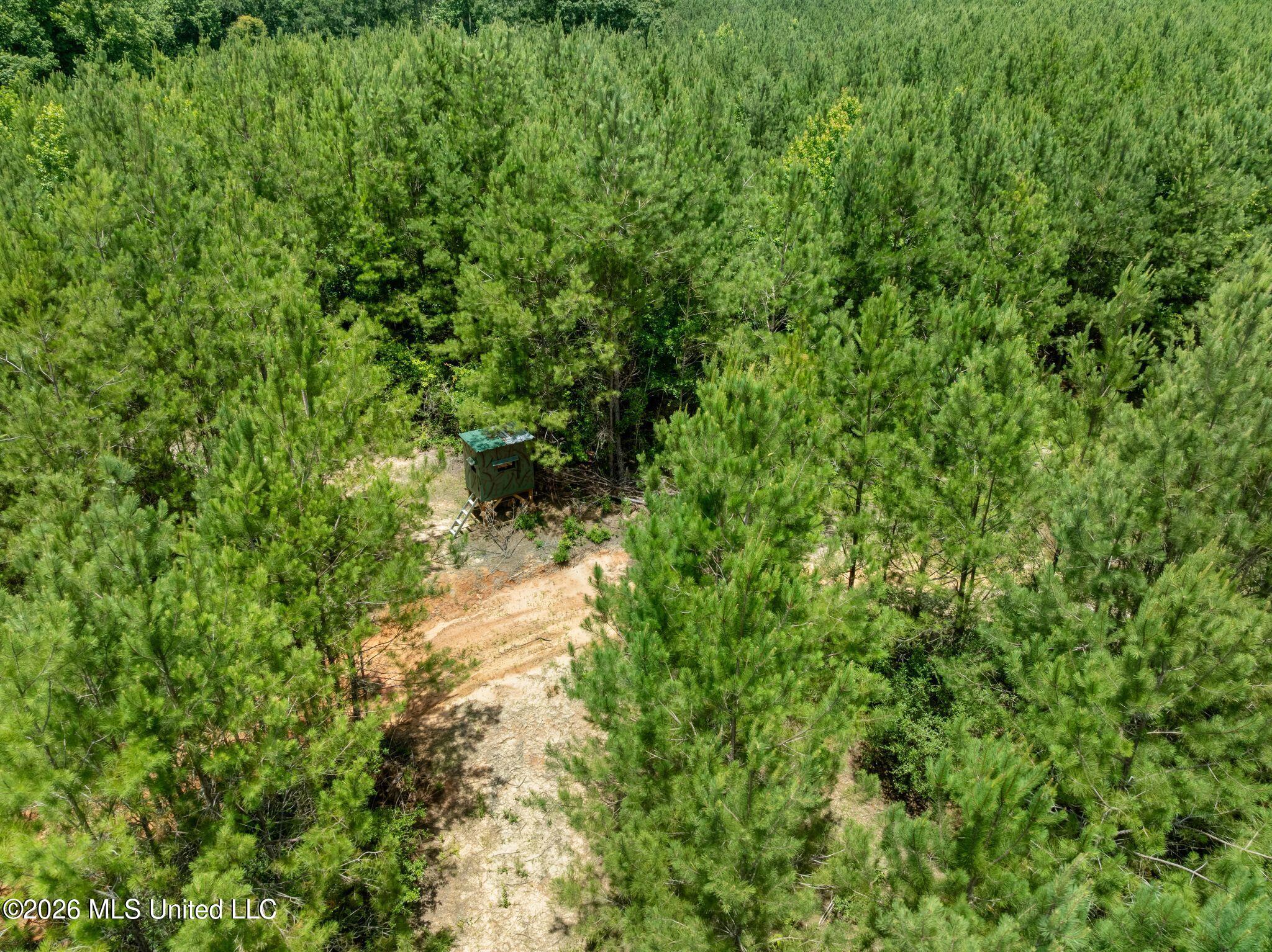 31 Acres Ridgeland Road Property Photo 20