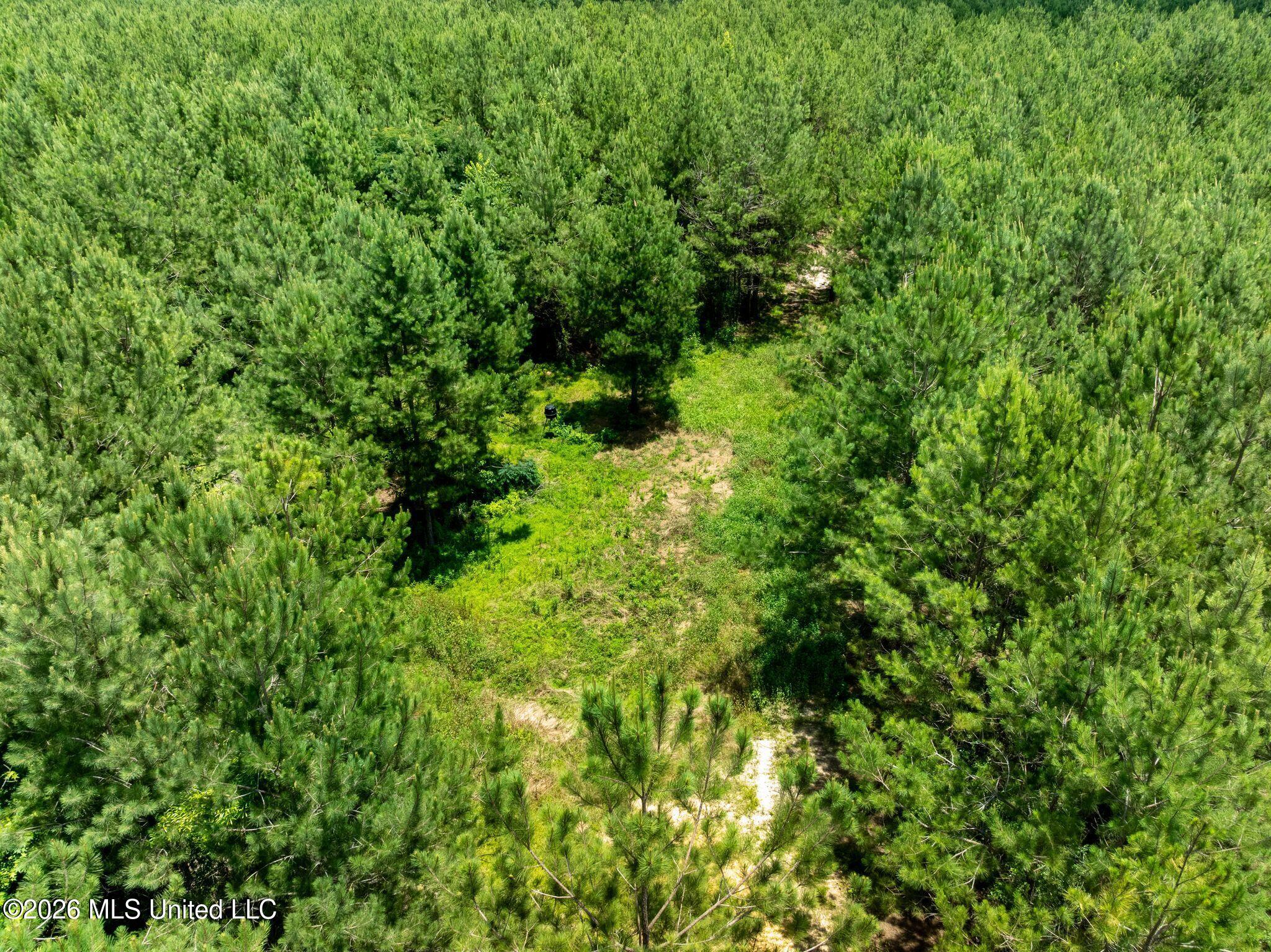 31 Acres Ridgeland Road Property Photo 21