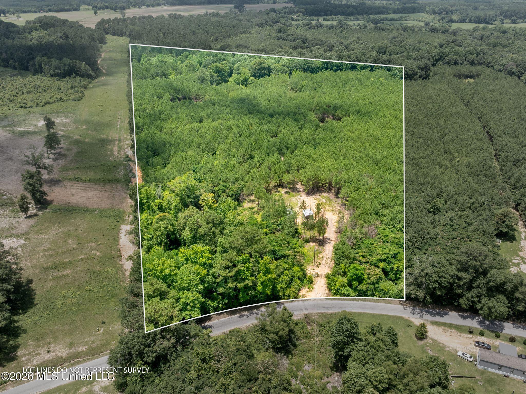 31 Acres Ridgeland Road Property Photo 22