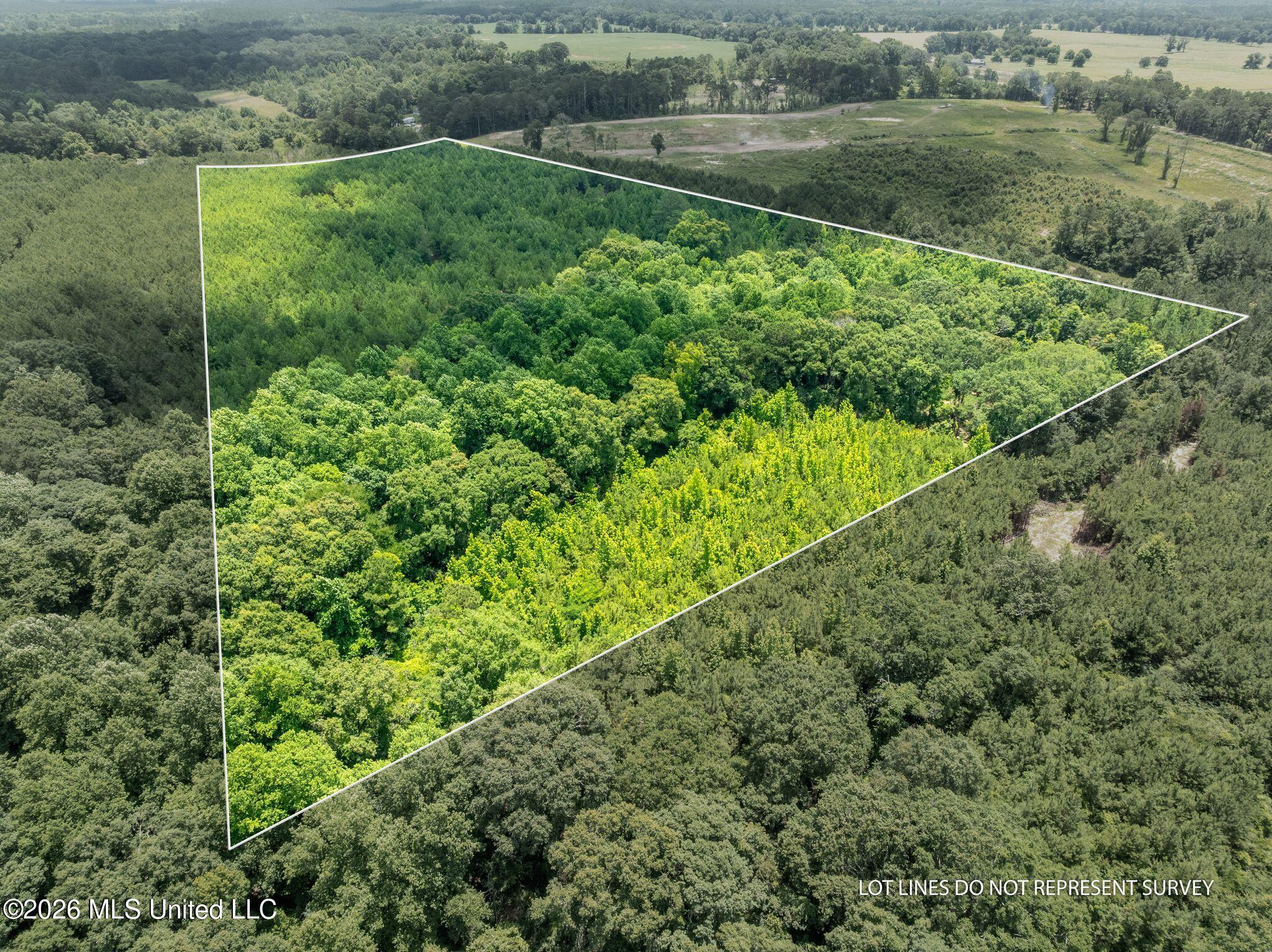 31 Acres Ridgeland Road Property Photo 23