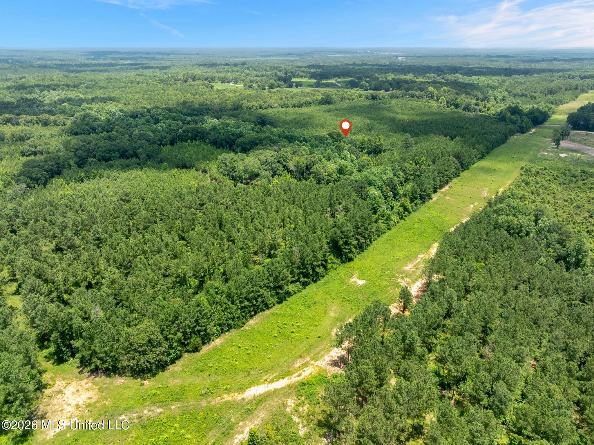 31 Acres Ridgeland Road Property Photo 24