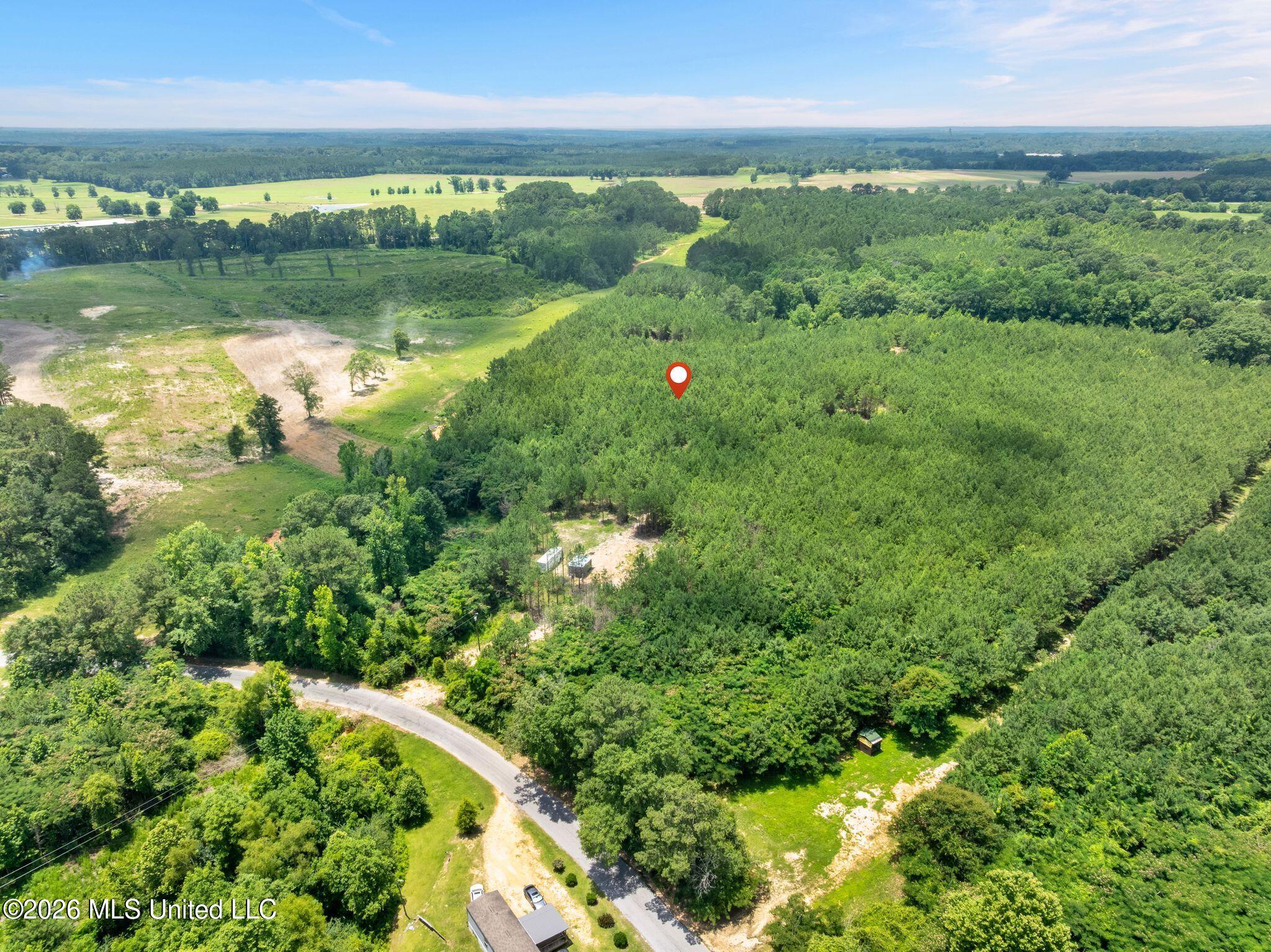 31 Acres Ridgeland Road Property Photo 25