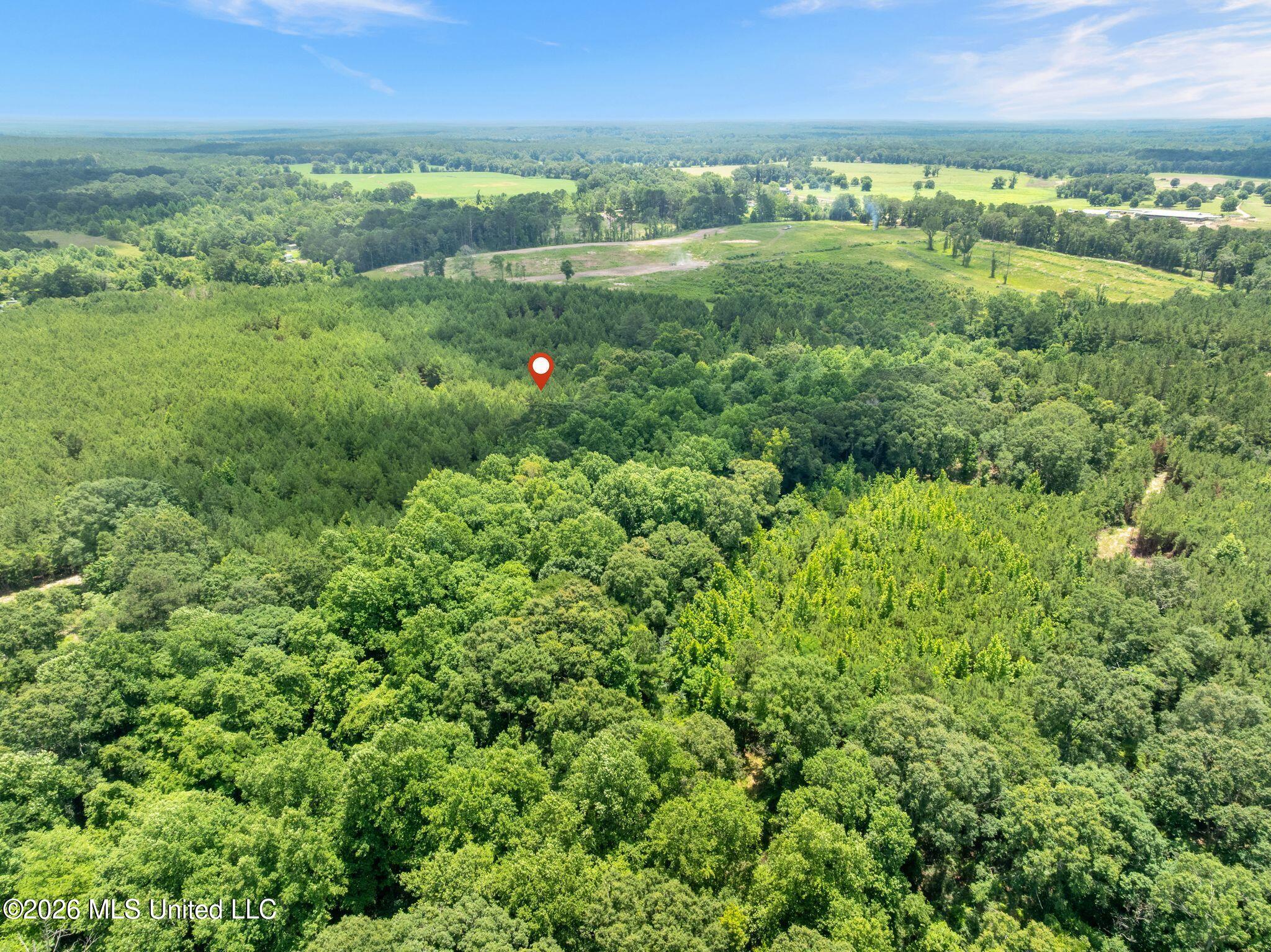 31 Acres Ridgeland Road Property Photo 26