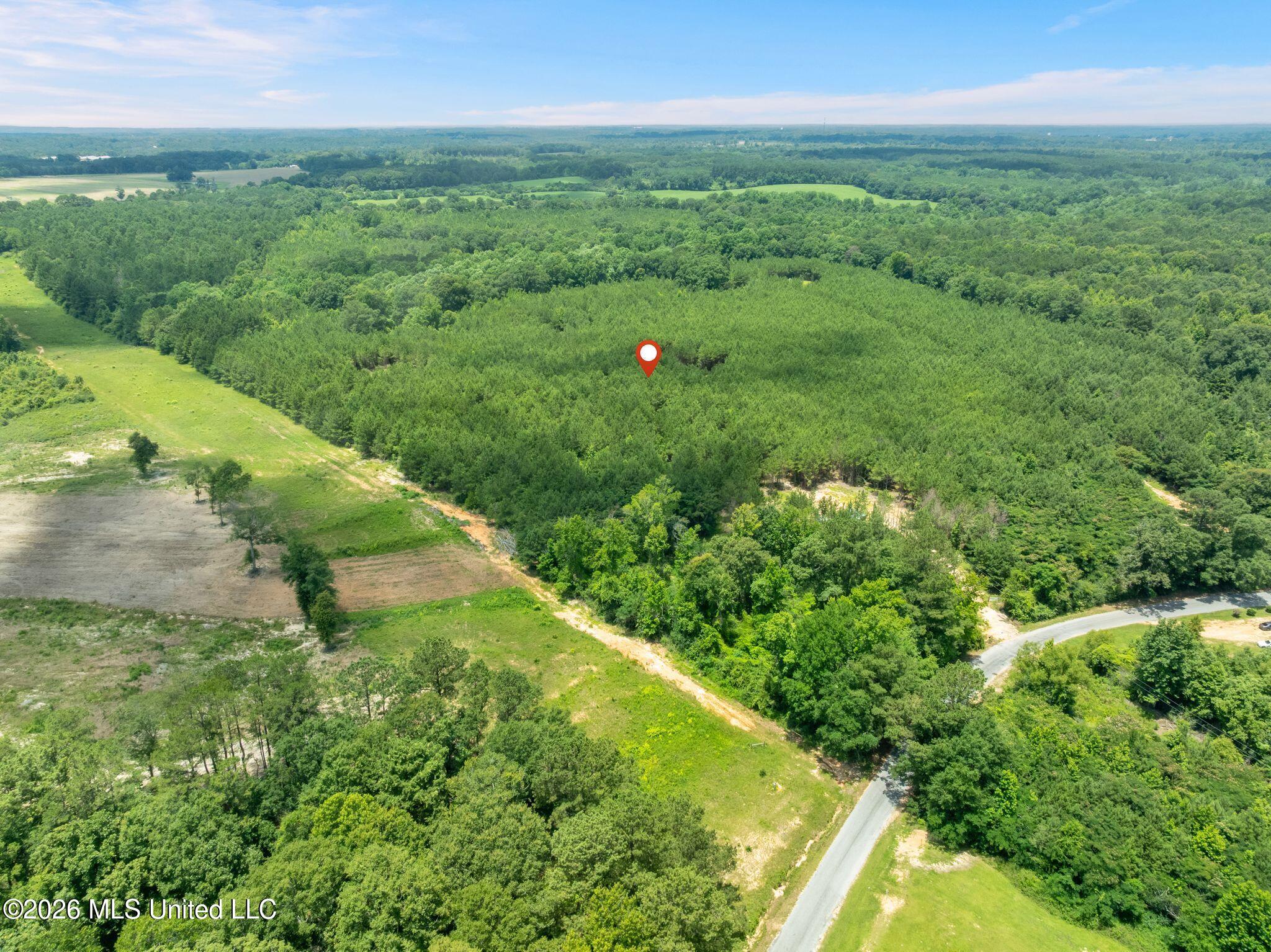 31 Acres Ridgeland Road Property Photo 27