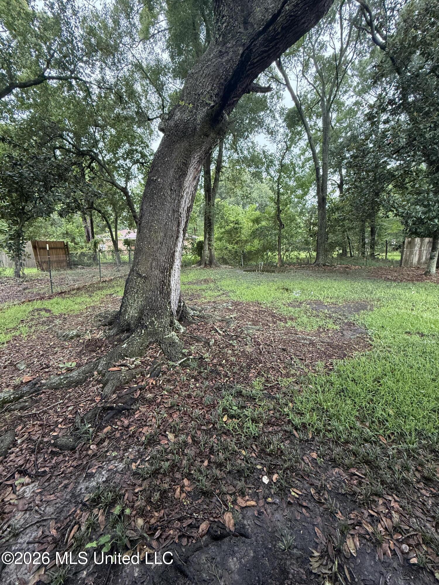 3815 Scovel Avenue Property Photo 25