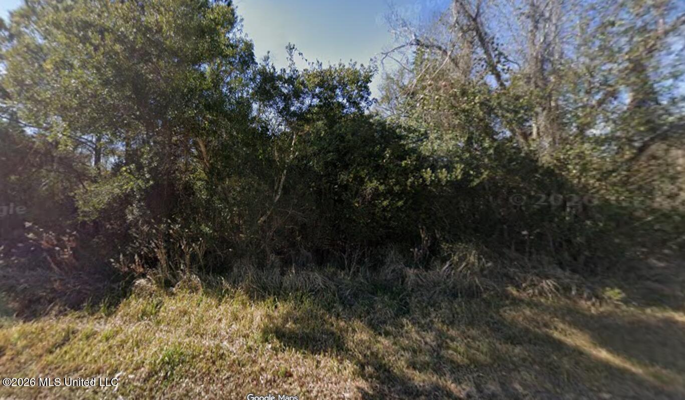 6033 Beach Bayou Avenue Property Photo 4