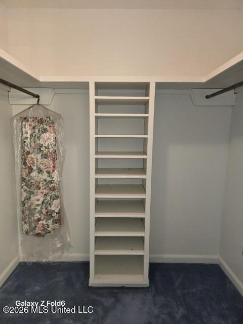 1051 Briarwood Drive Property Photo 9
