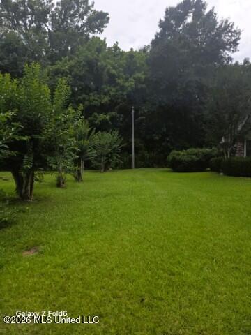 1051 Briarwood Drive Property Photo 12