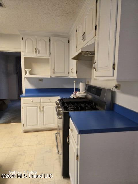 1051 Briarwood Drive Property Photo 19