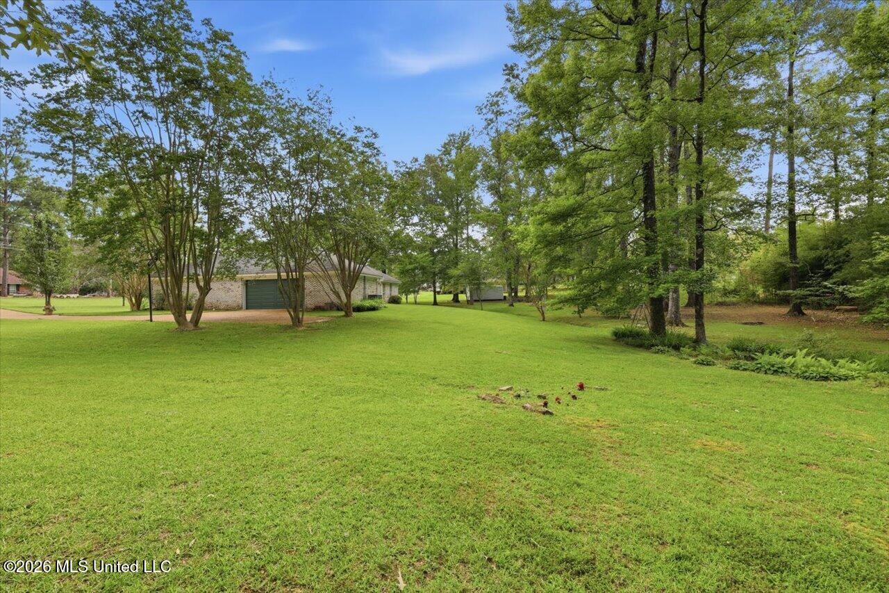 120 Robinson Cove Property Photo 34