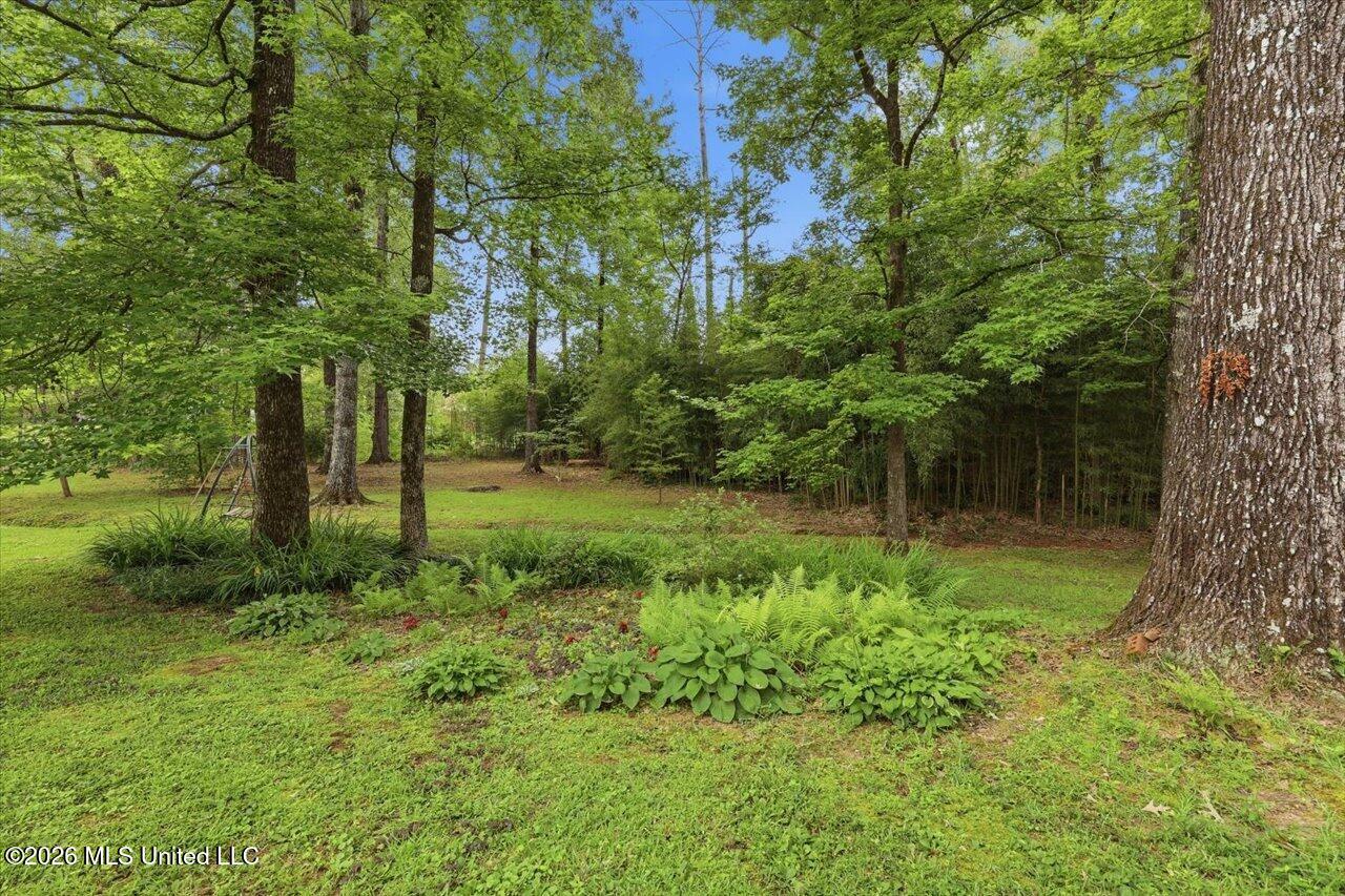 120 Robinson Cove Property Photo 35