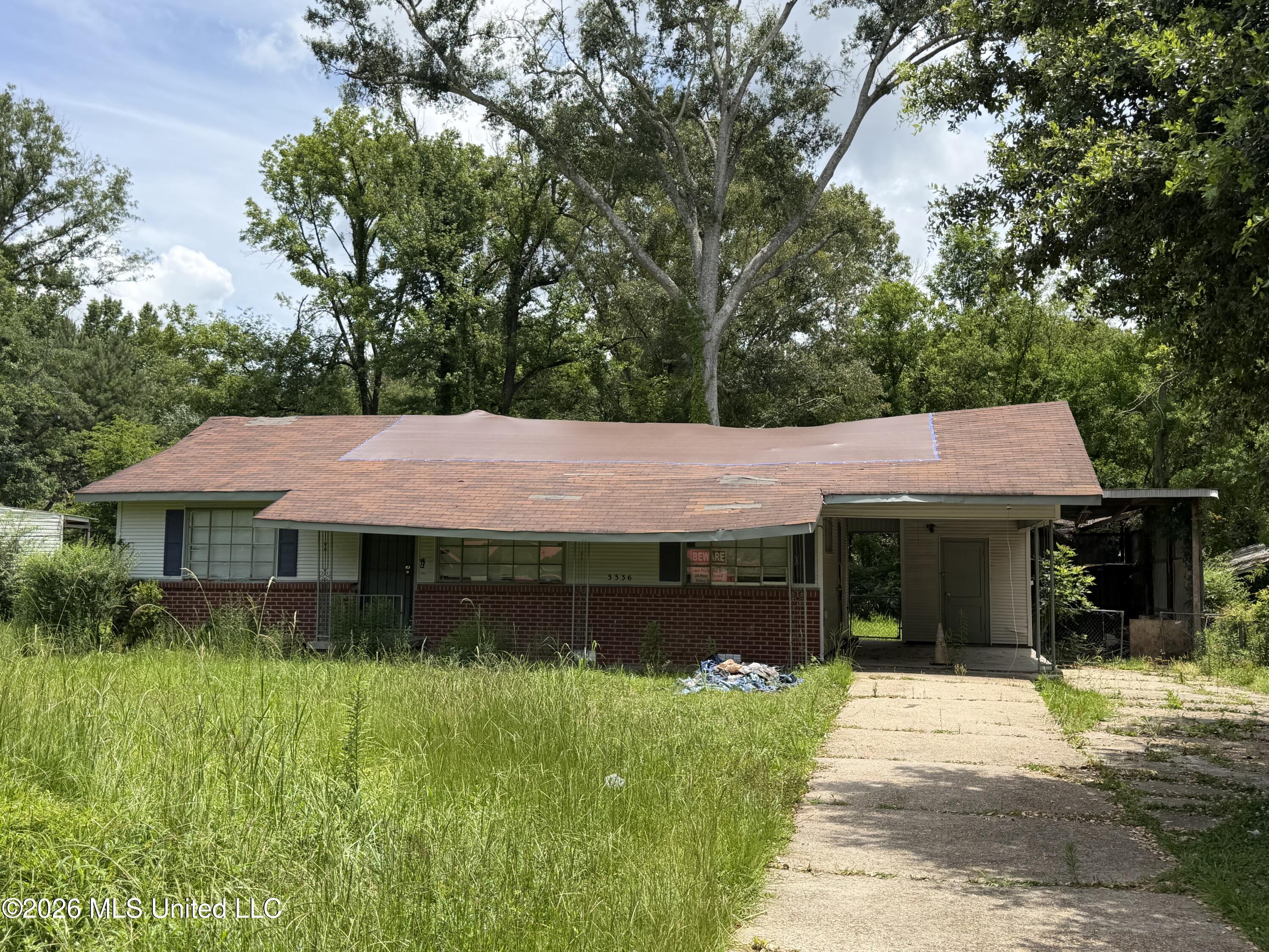 3336 Beatrice Drive Property Photo 1