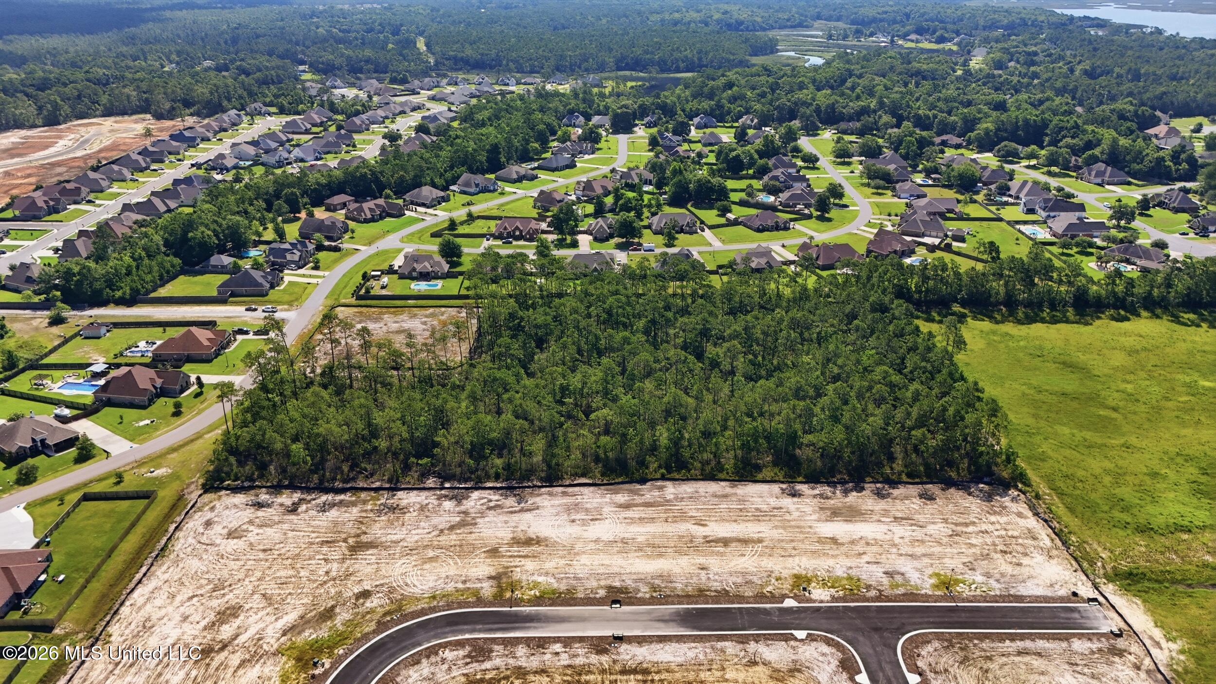 Palmetto Drive Property Photo 2