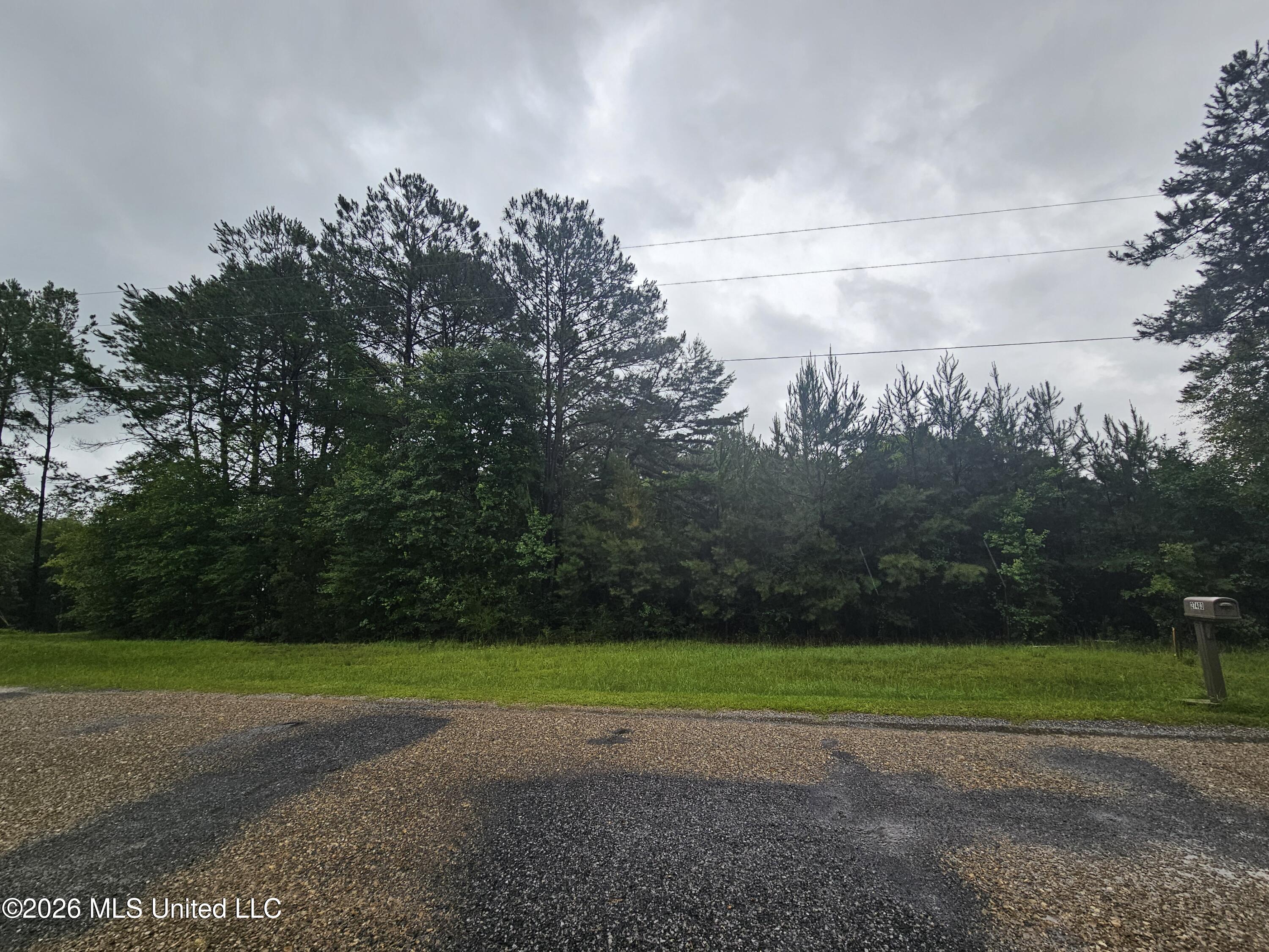 27400 E Lake Cypress Drive Property Photo 4