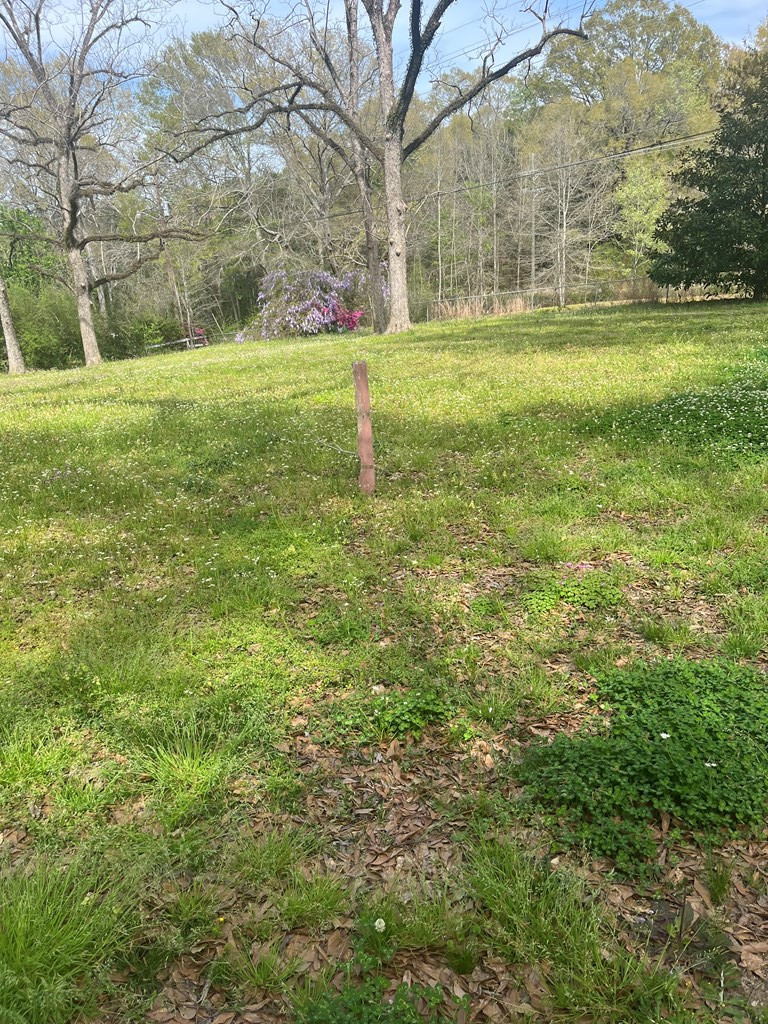 1433 Sam Mcneil Lane Property Photo 7