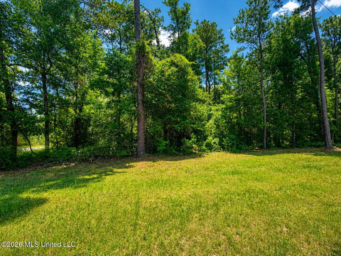 8.2 Acres Breland Road Property Photo 2