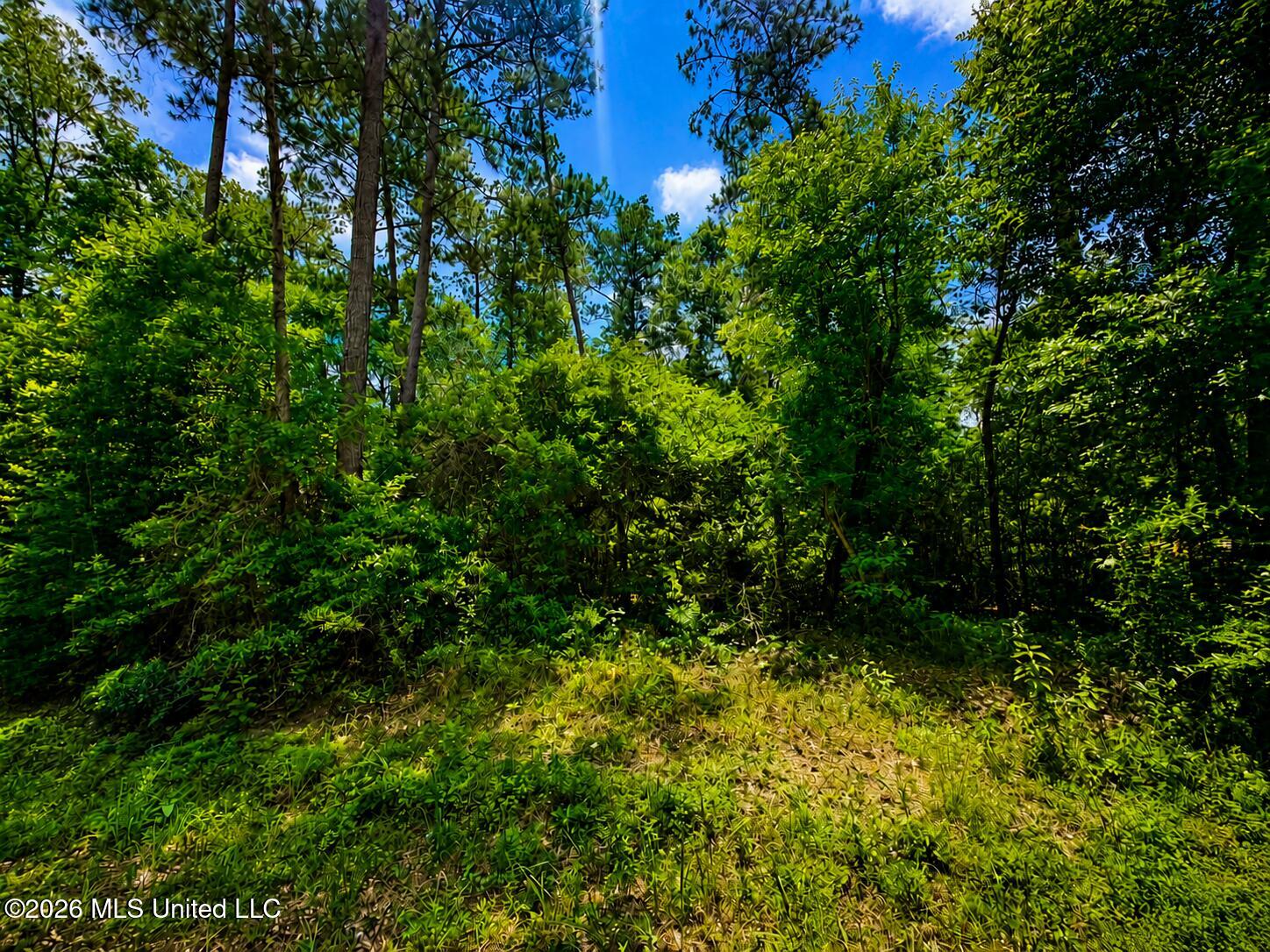8.2 Acres Breland Road Property Photo 3