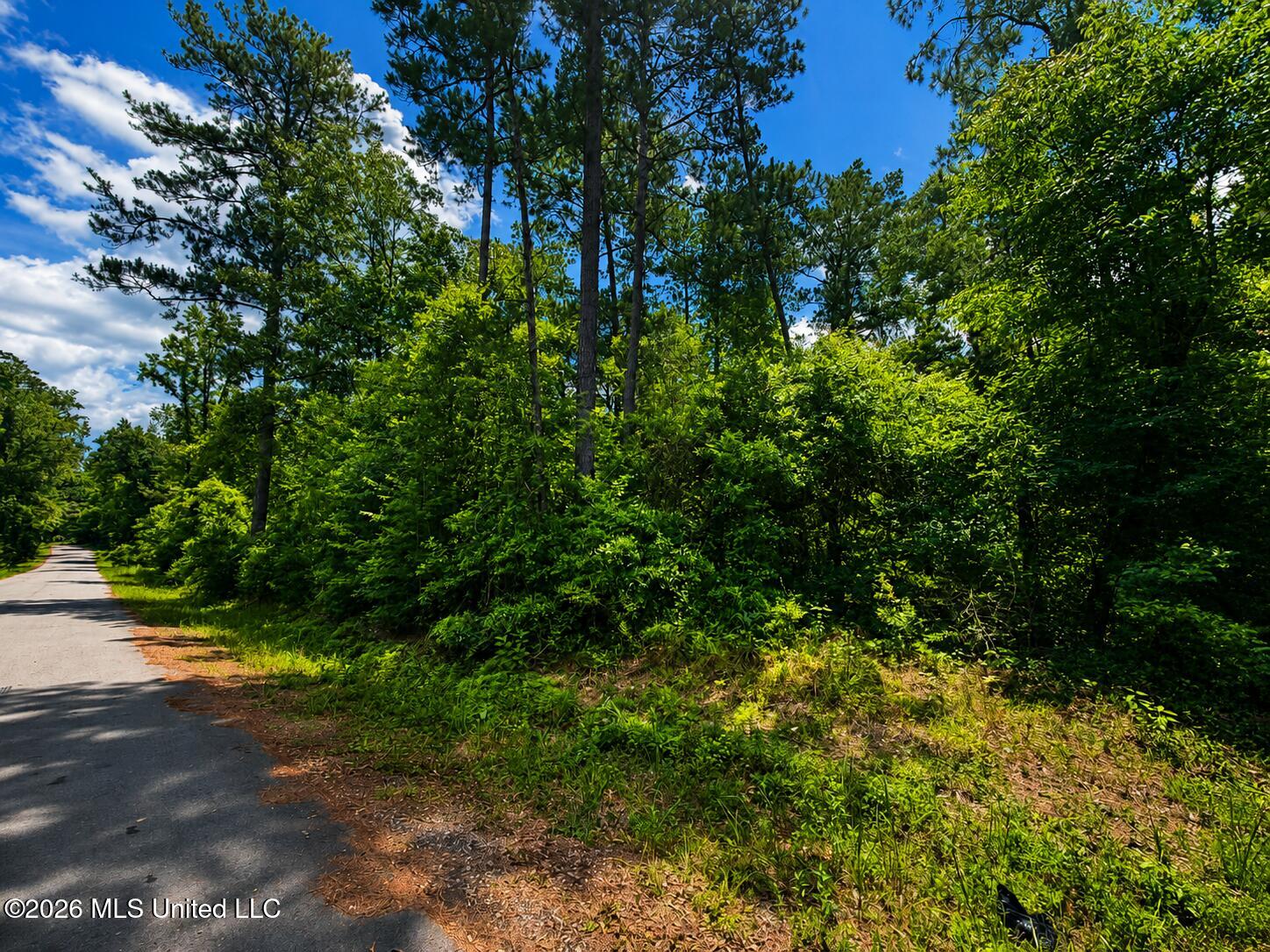8.2 Acres Breland Road Property Photo 4