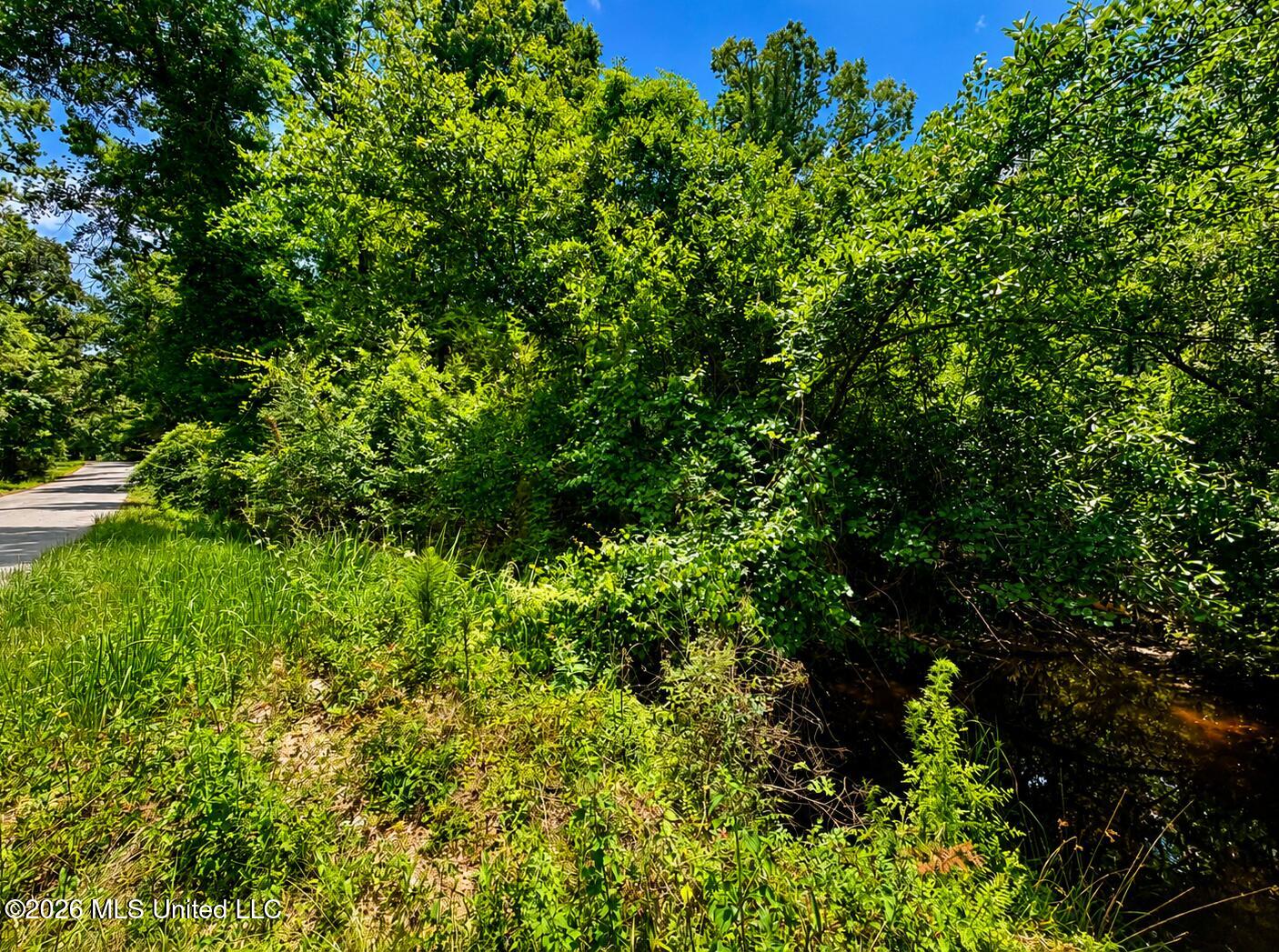 8.2 Acres Breland Road Property Photo 5