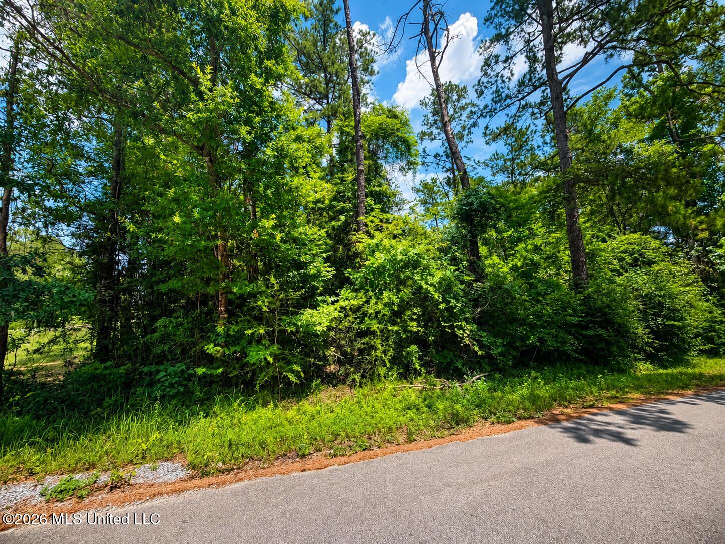 8.2 Acres Breland Road Property Photo 6