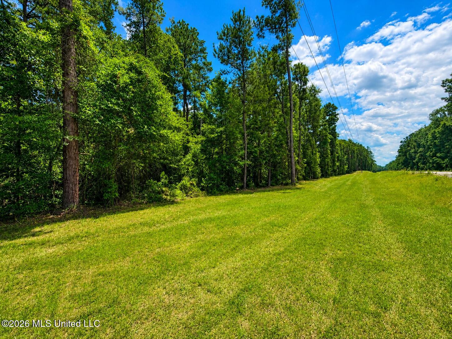 8.2 Acres Breland Road Property Photo 7