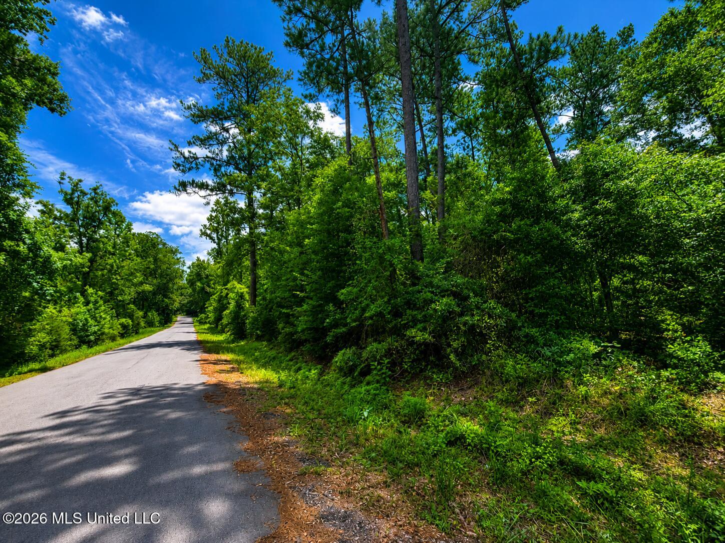 8.2 Acres Breland Road Property Photo 8