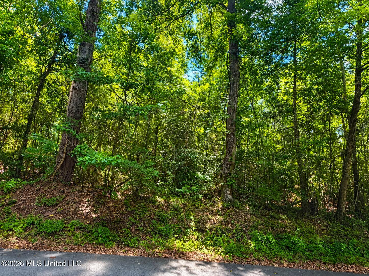 8.2 Acres Breland Road Property Photo 10