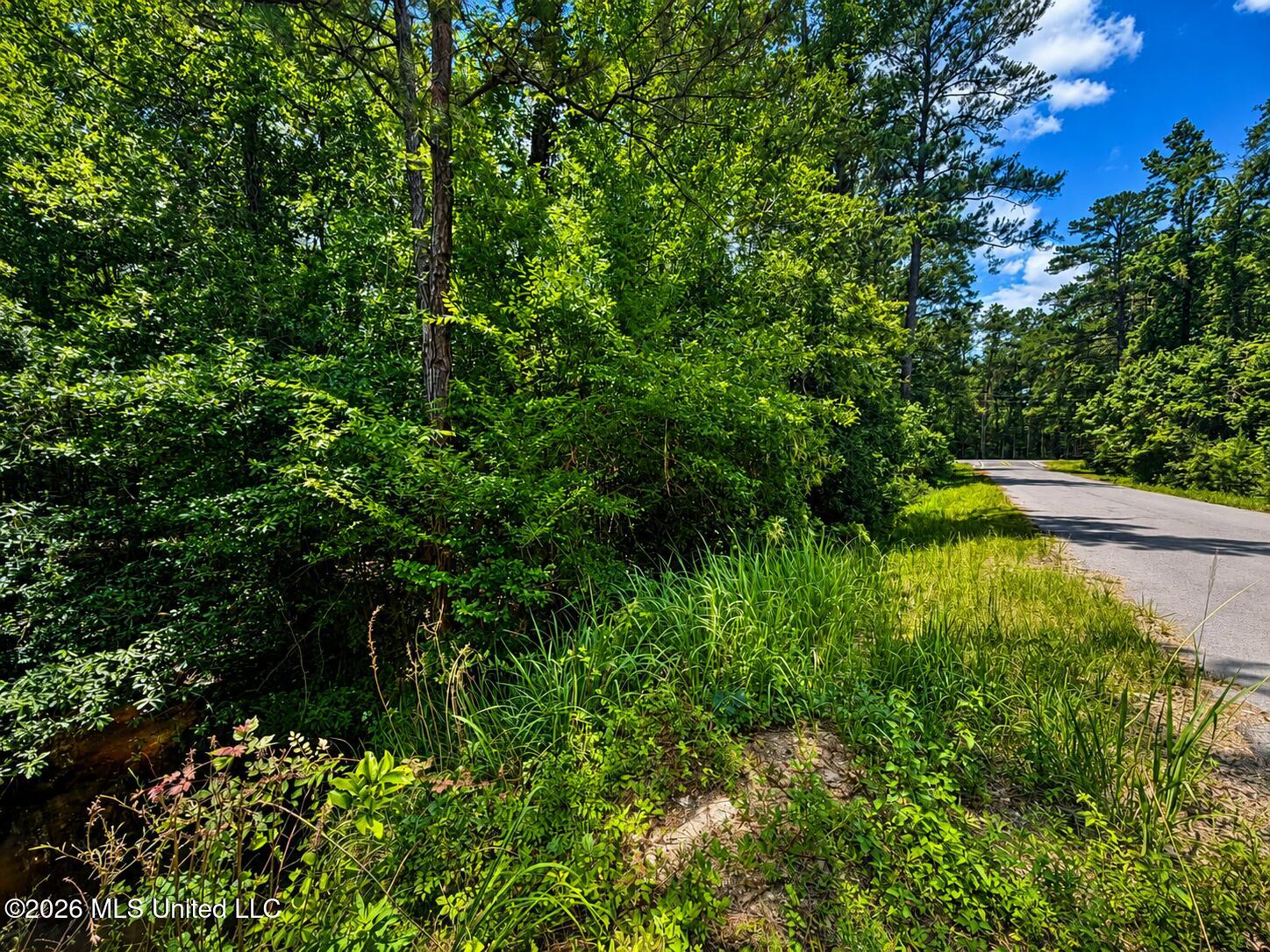 8.2 Acres Breland Road Property Photo 11