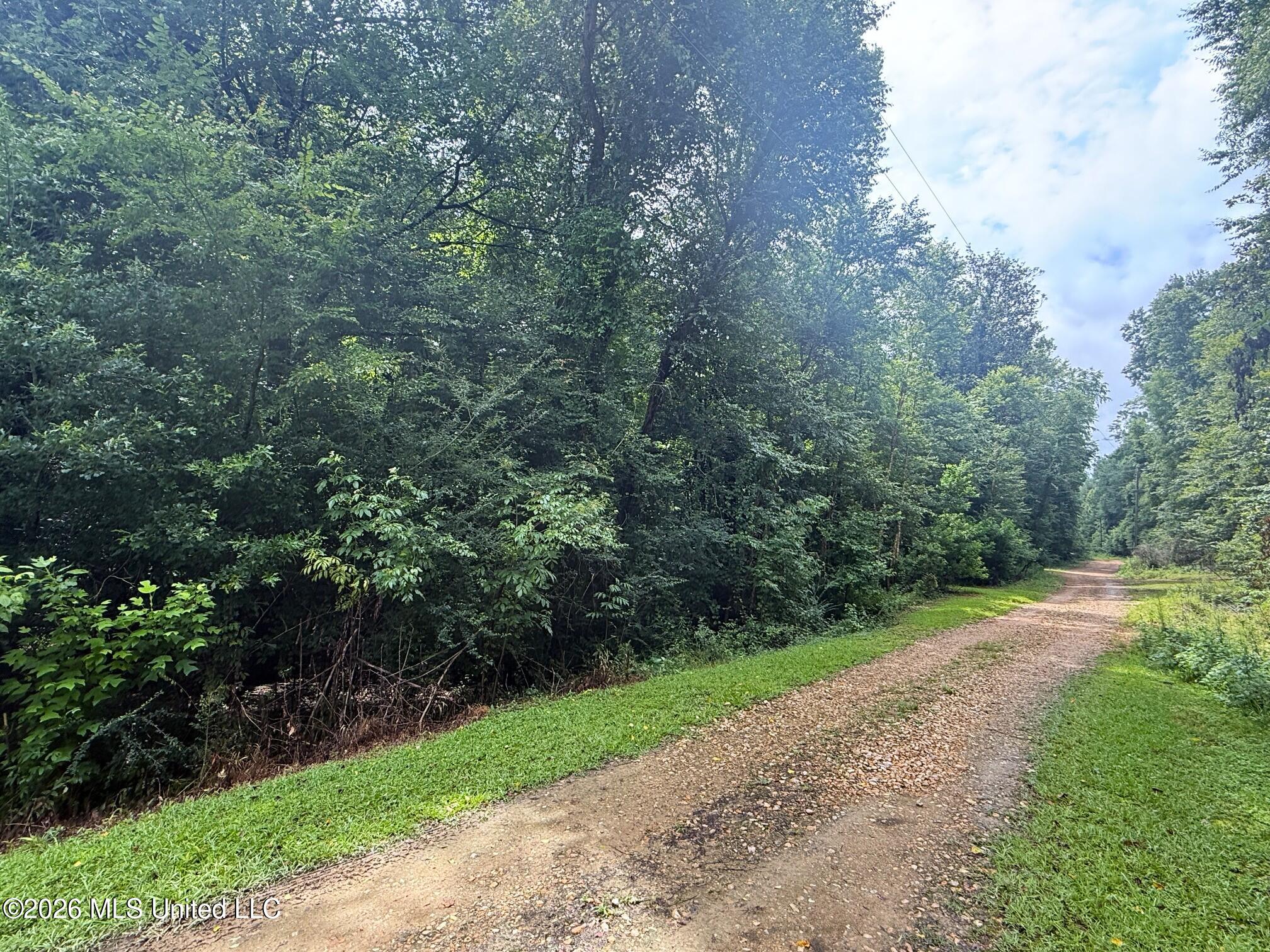 3042 Brandi Road Property Photo 1