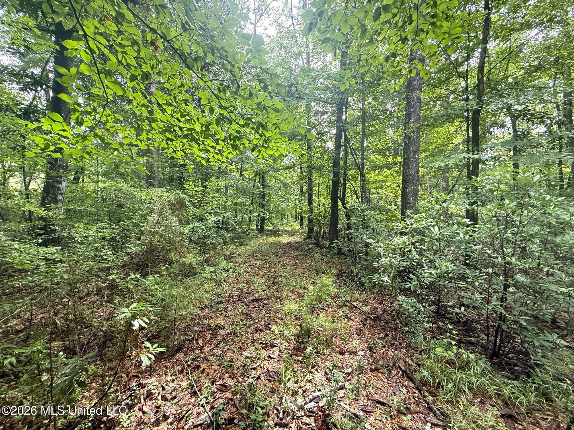 3042 Brandi Road Property Photo 2