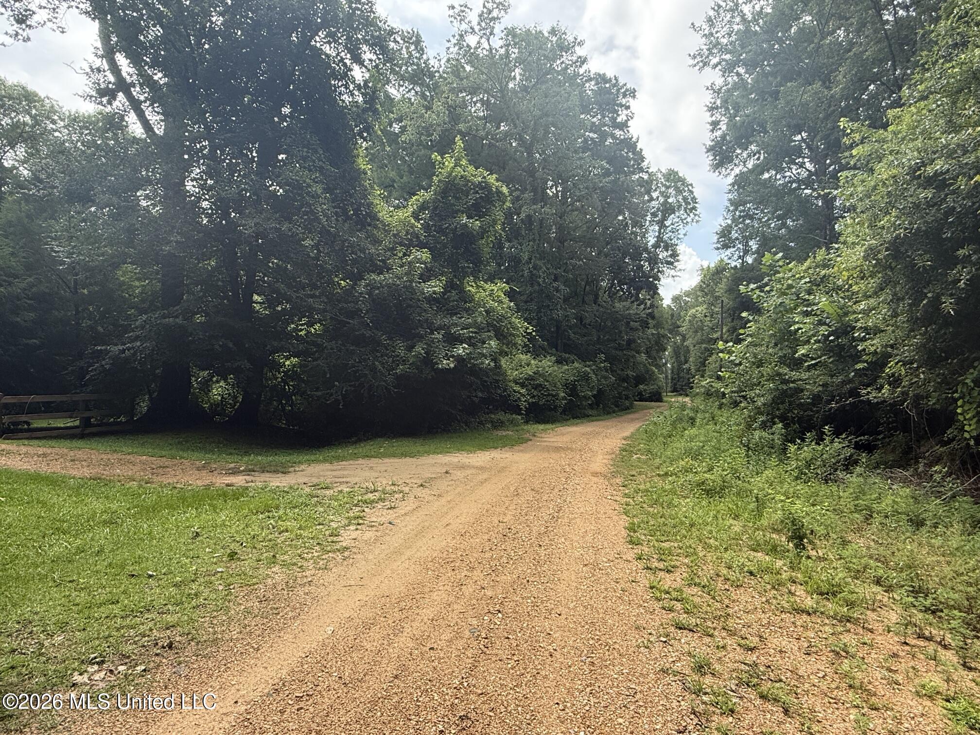 3042 Brandi Road Property Photo 5