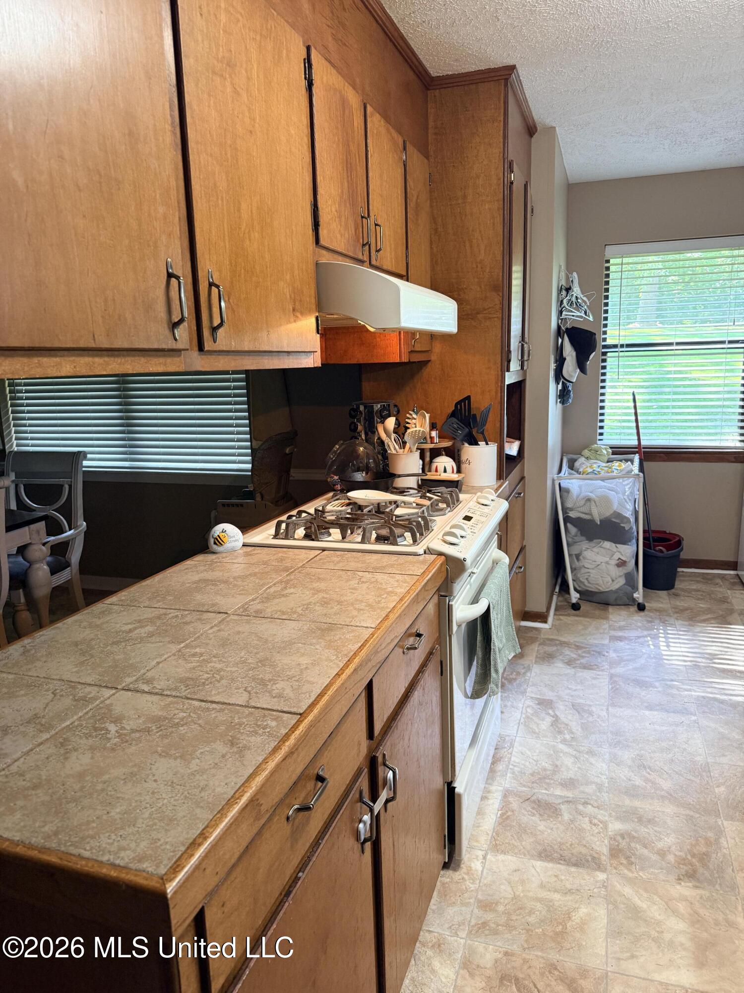 417 Silver Creek Drive Property Photo 9
