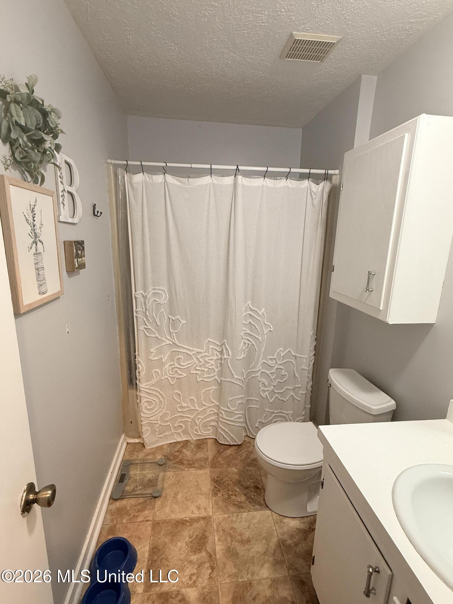 417 Silver Creek Drive Property Photo 11