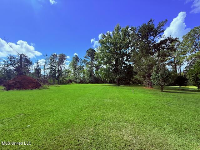 97 Jack Duncan Road Property Photo 14