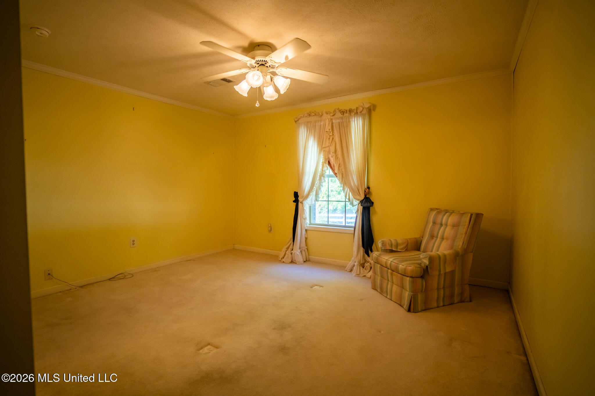 776 Raymond Williams Property Photo 87
