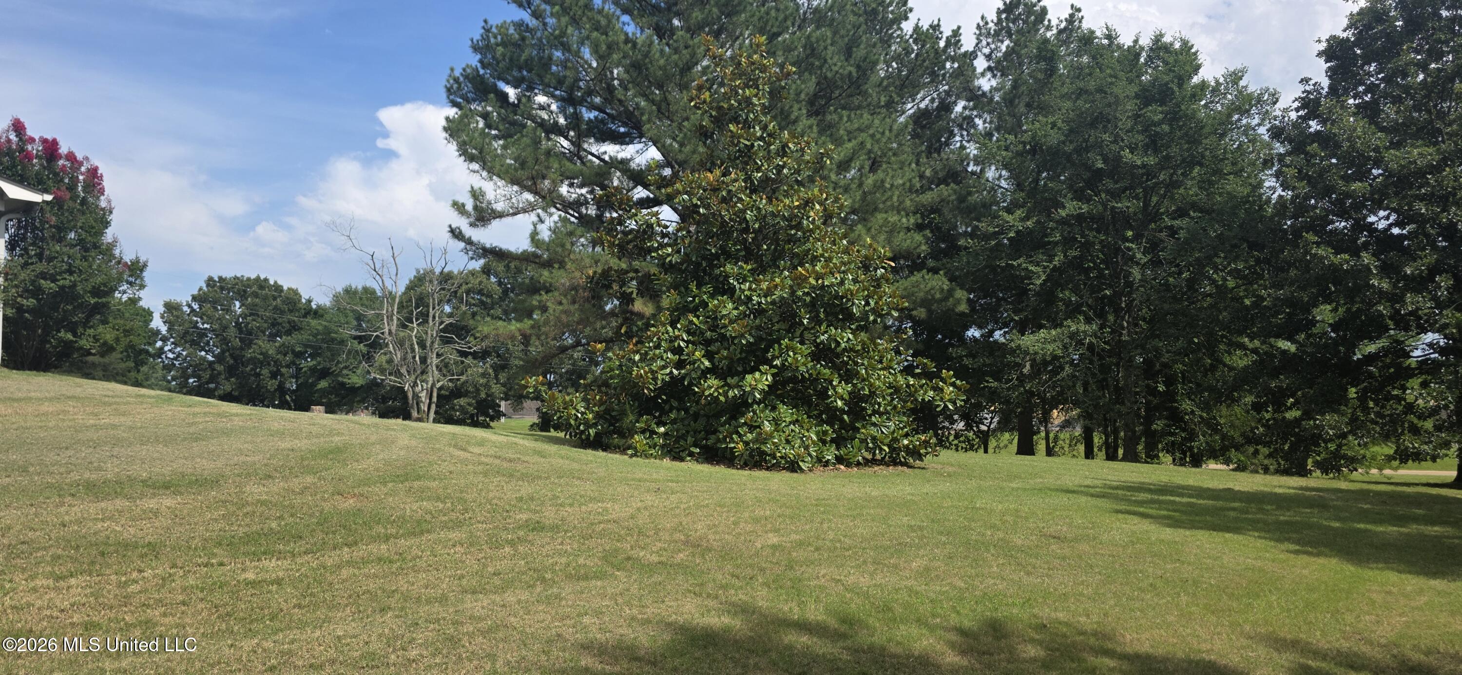 180 Stonewall Road Property Photo 44