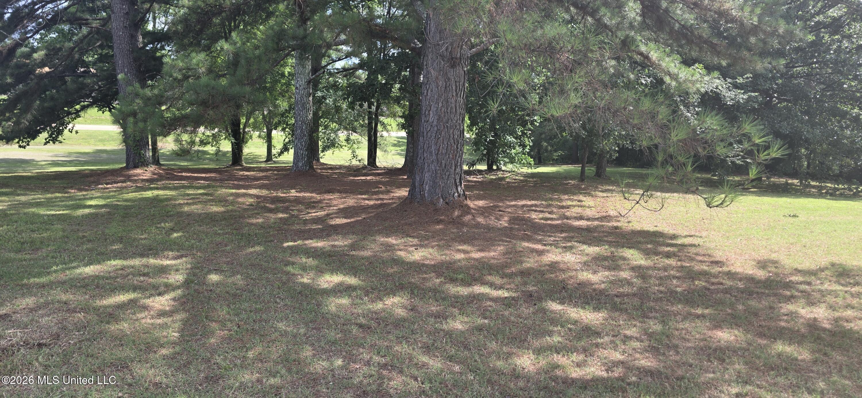 180 Stonewall Road Property Photo 56