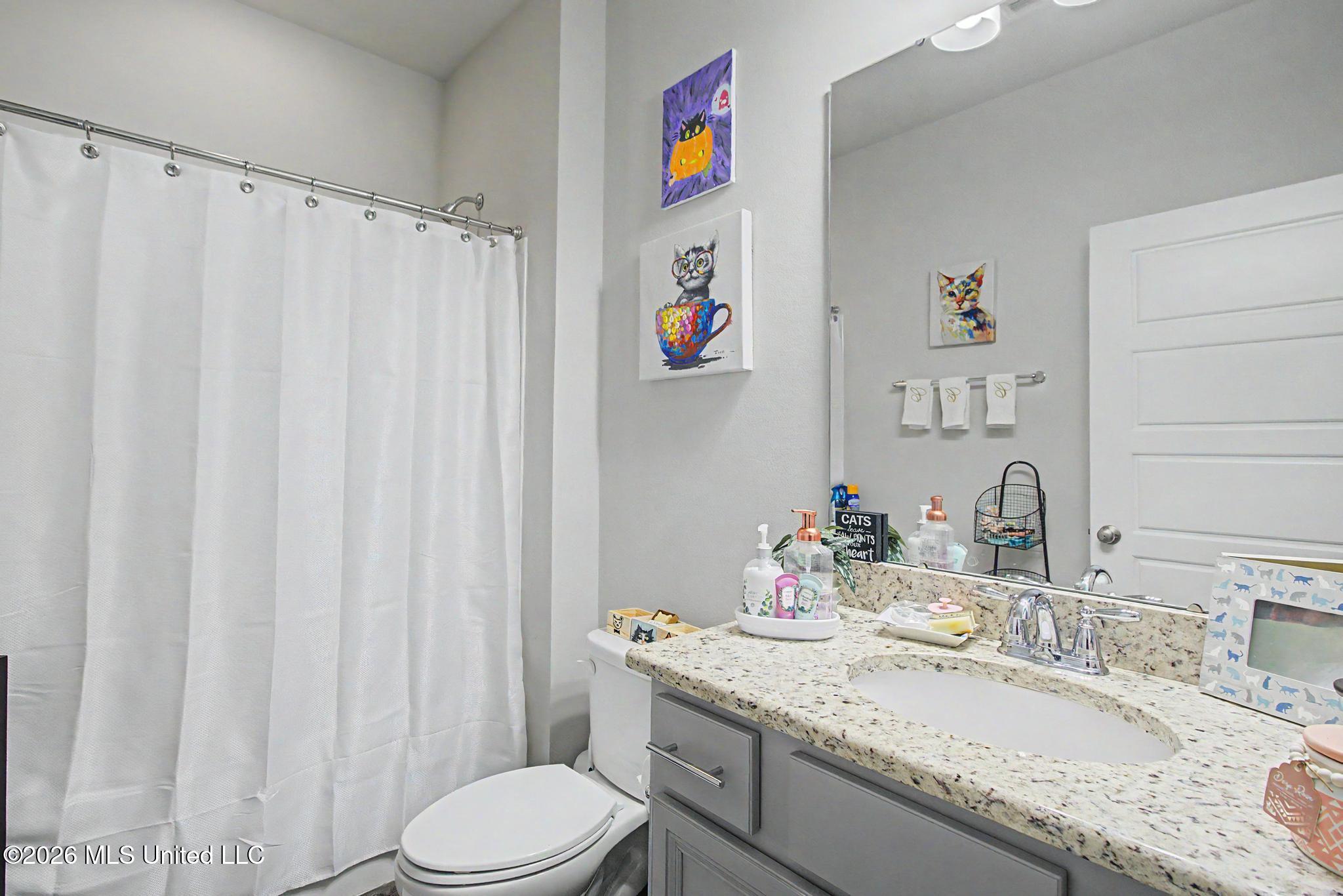 10204 Little Gem Drive Property Photo 19